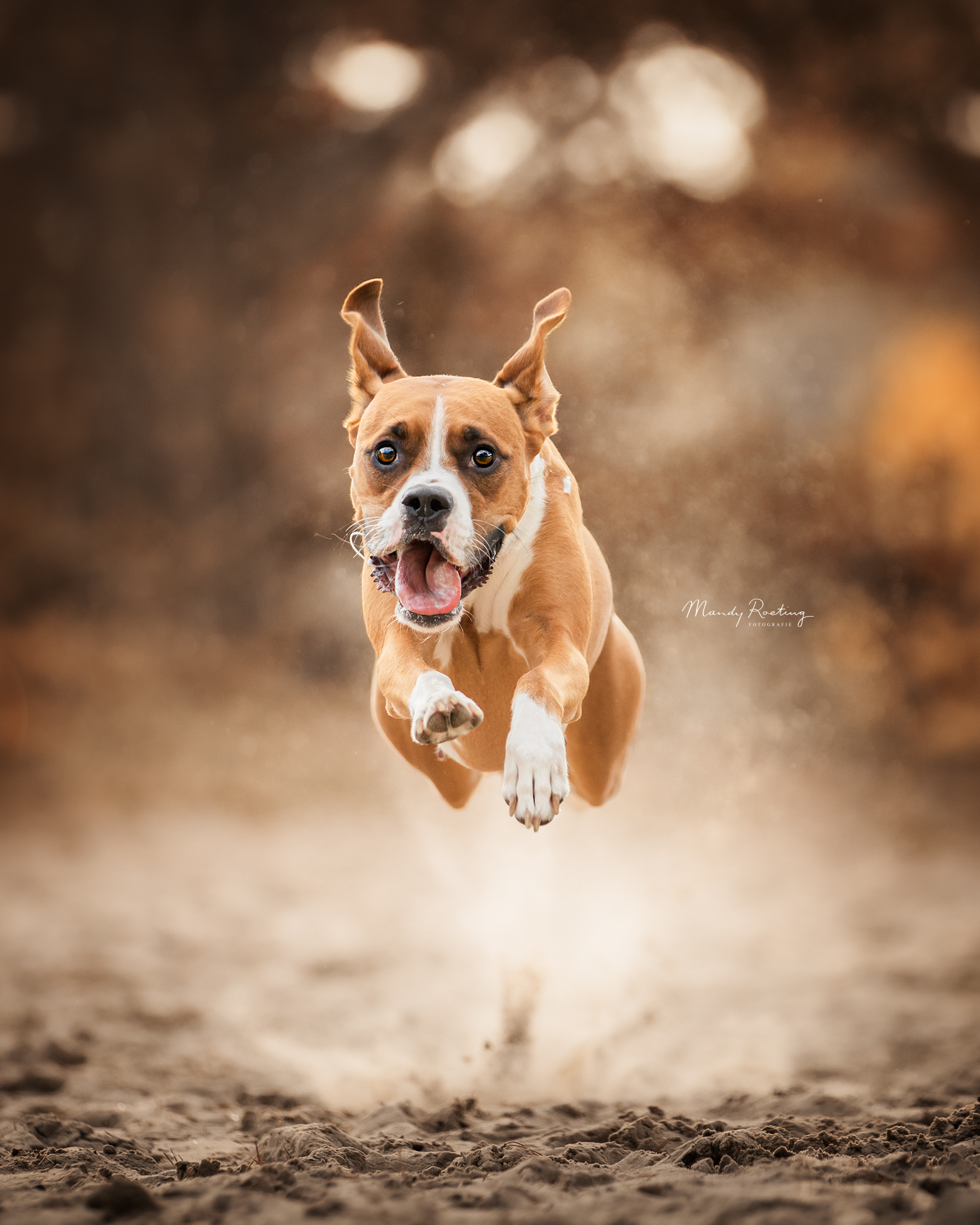 yuna-op-de-zandvlakte