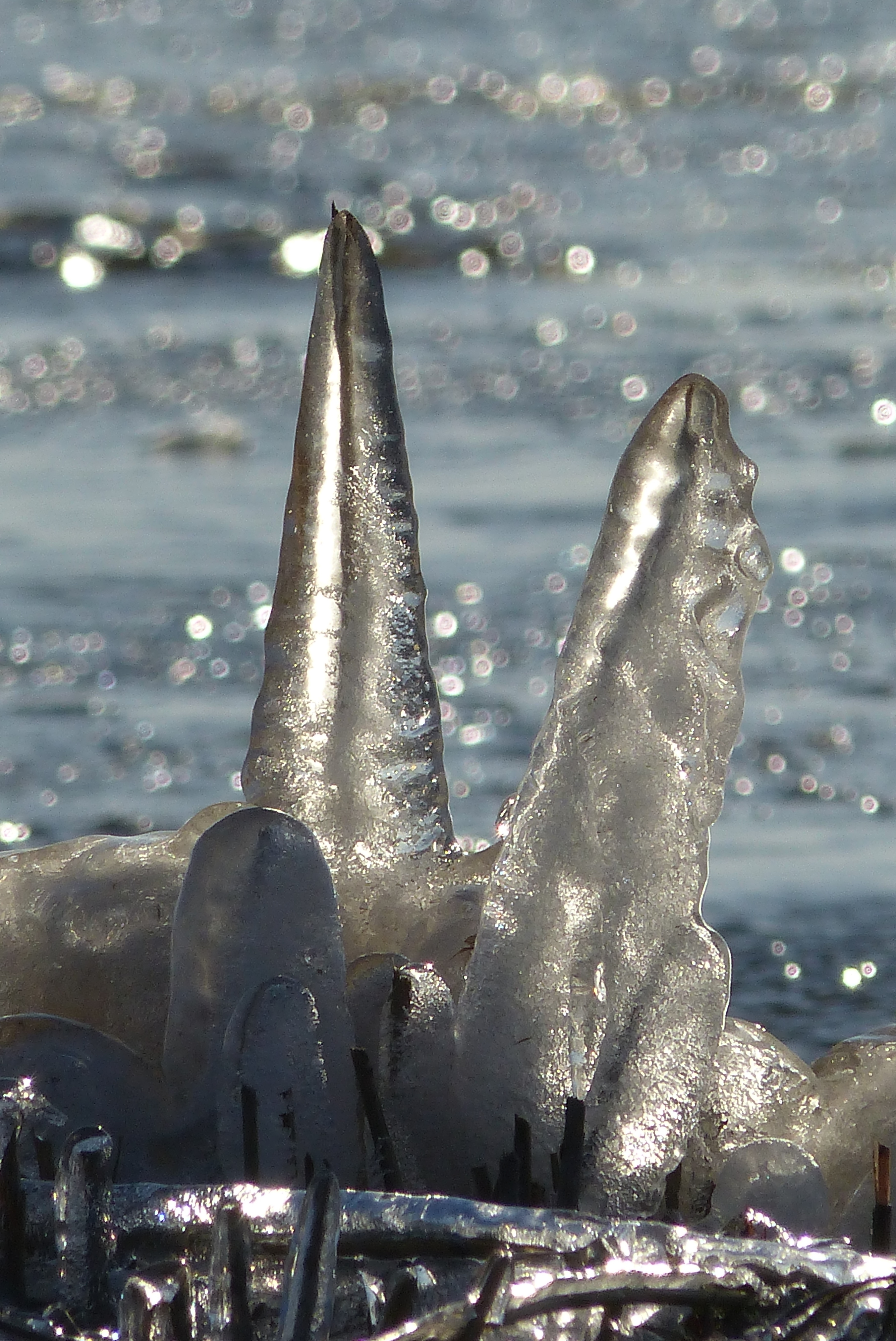 kunst-van-wind-en-water