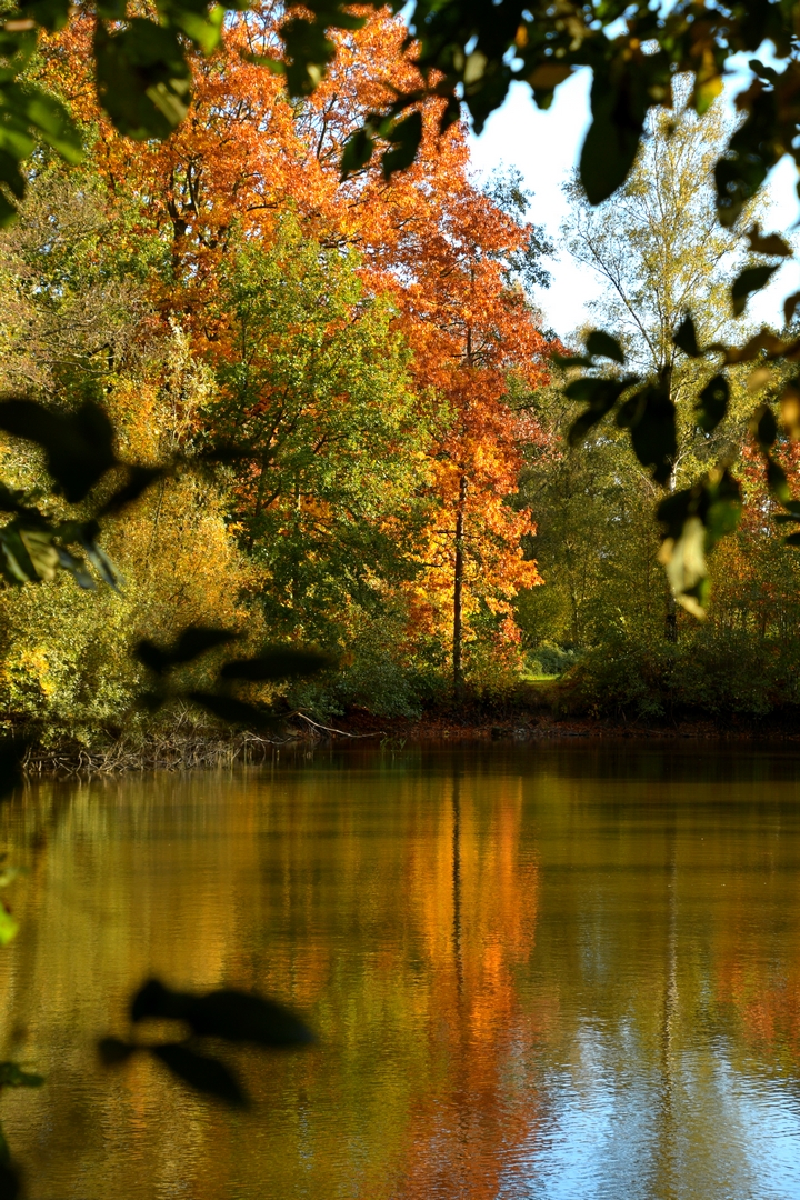 herfst-in-het-leen
