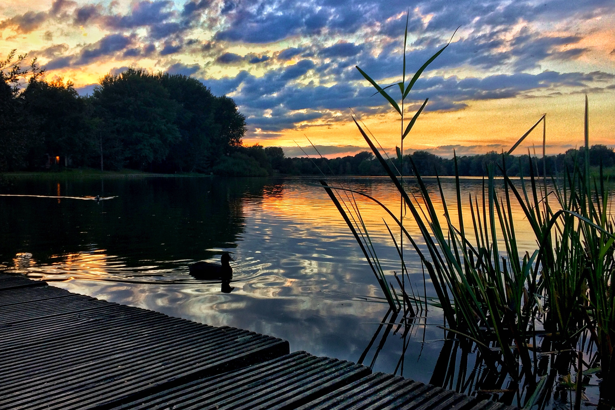 steiger-in-the-shadow