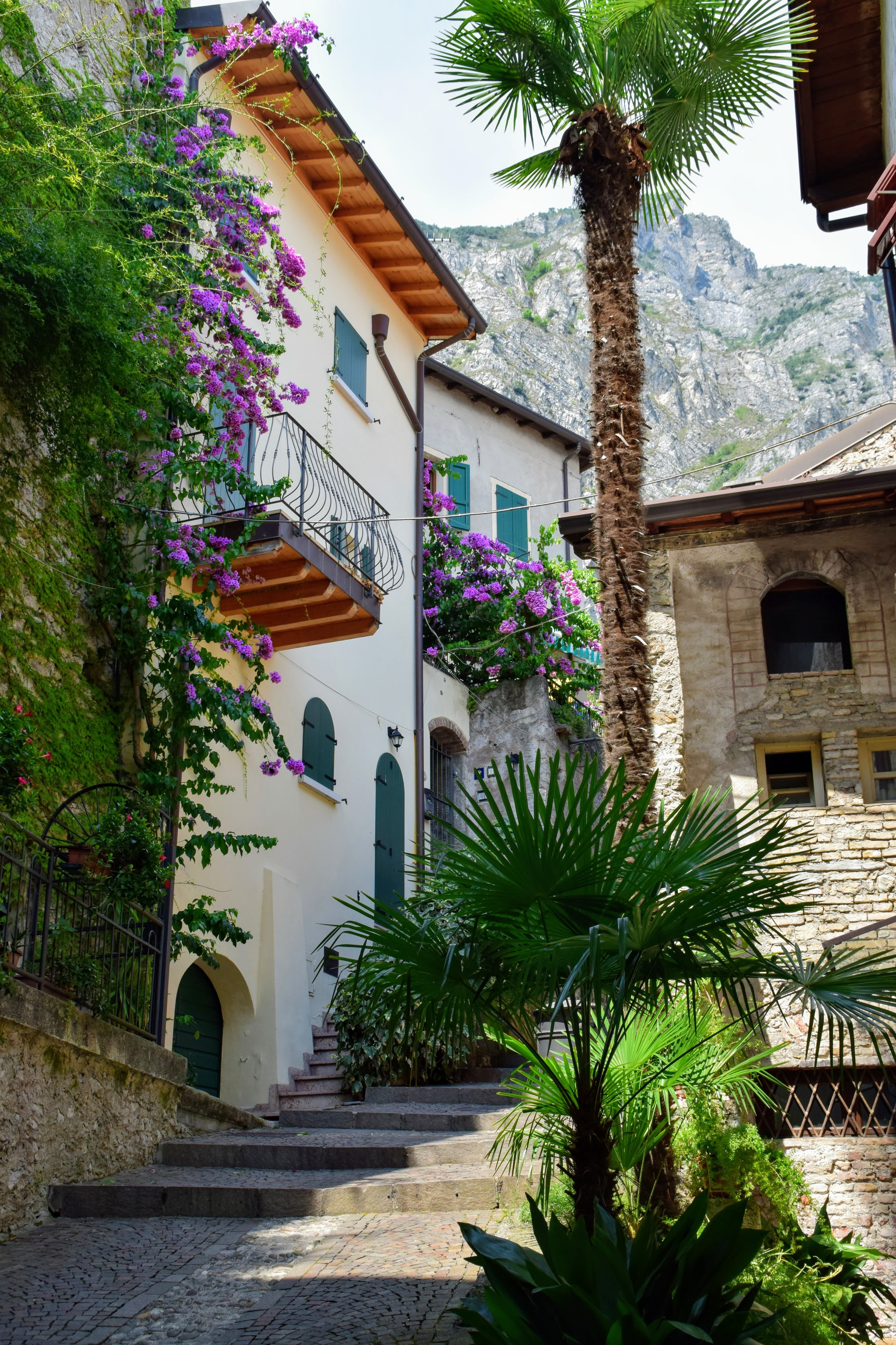 sfeer-impressie-limone