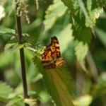 calatrava-brug-bilbao