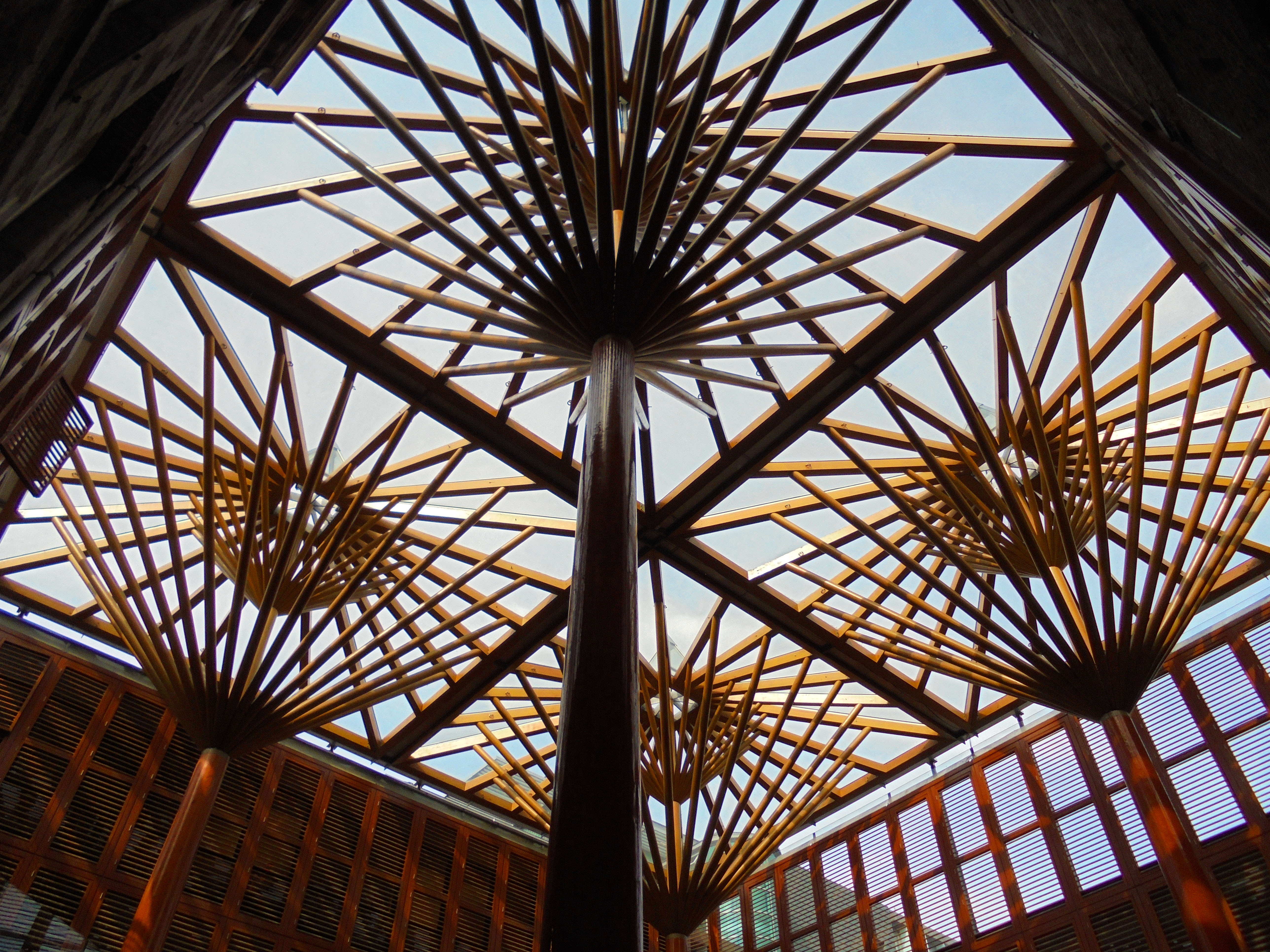 gigantische-parasols-in-het-hartje-van-maastricht