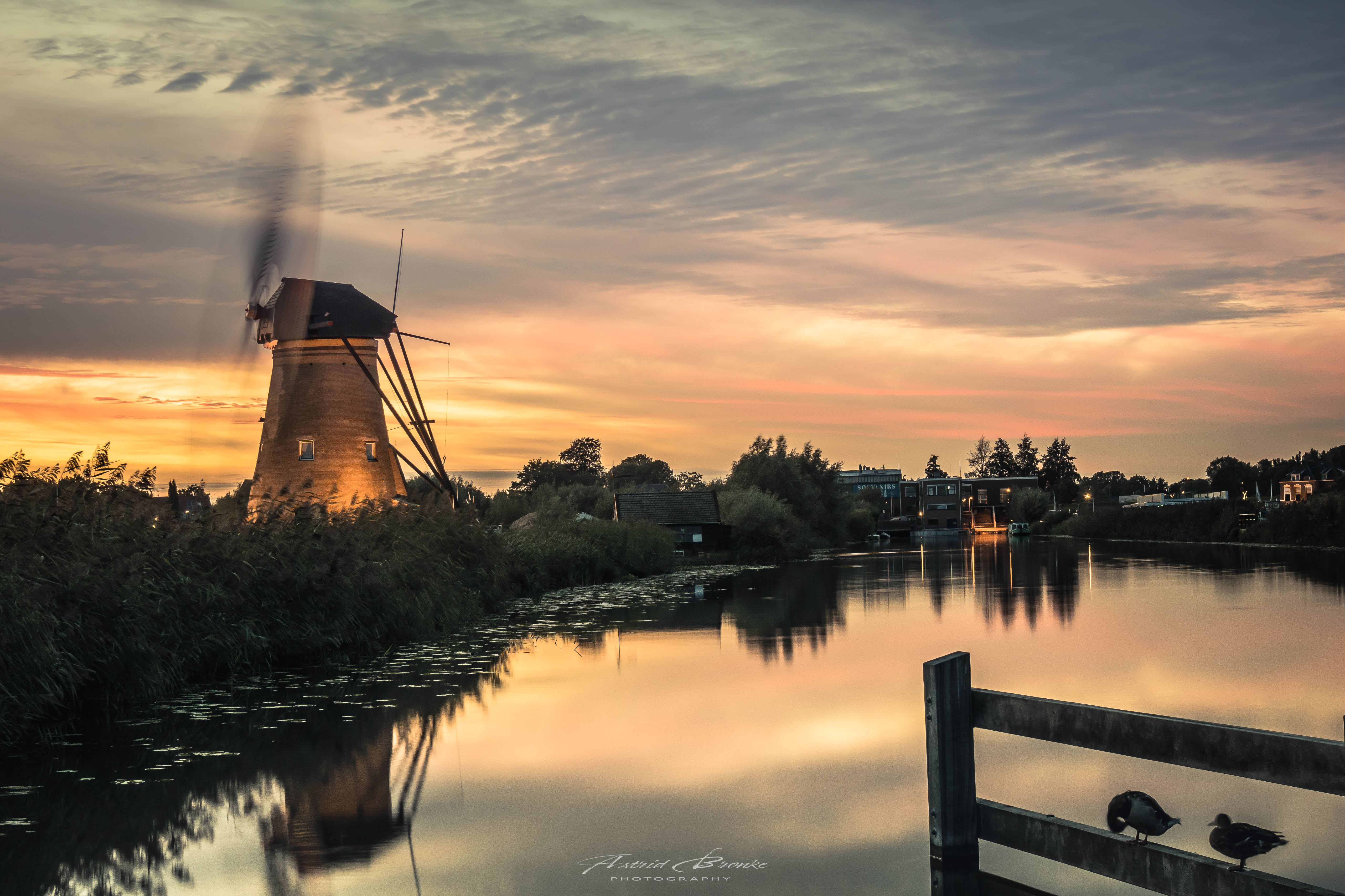 enjoying-the-golden-hour