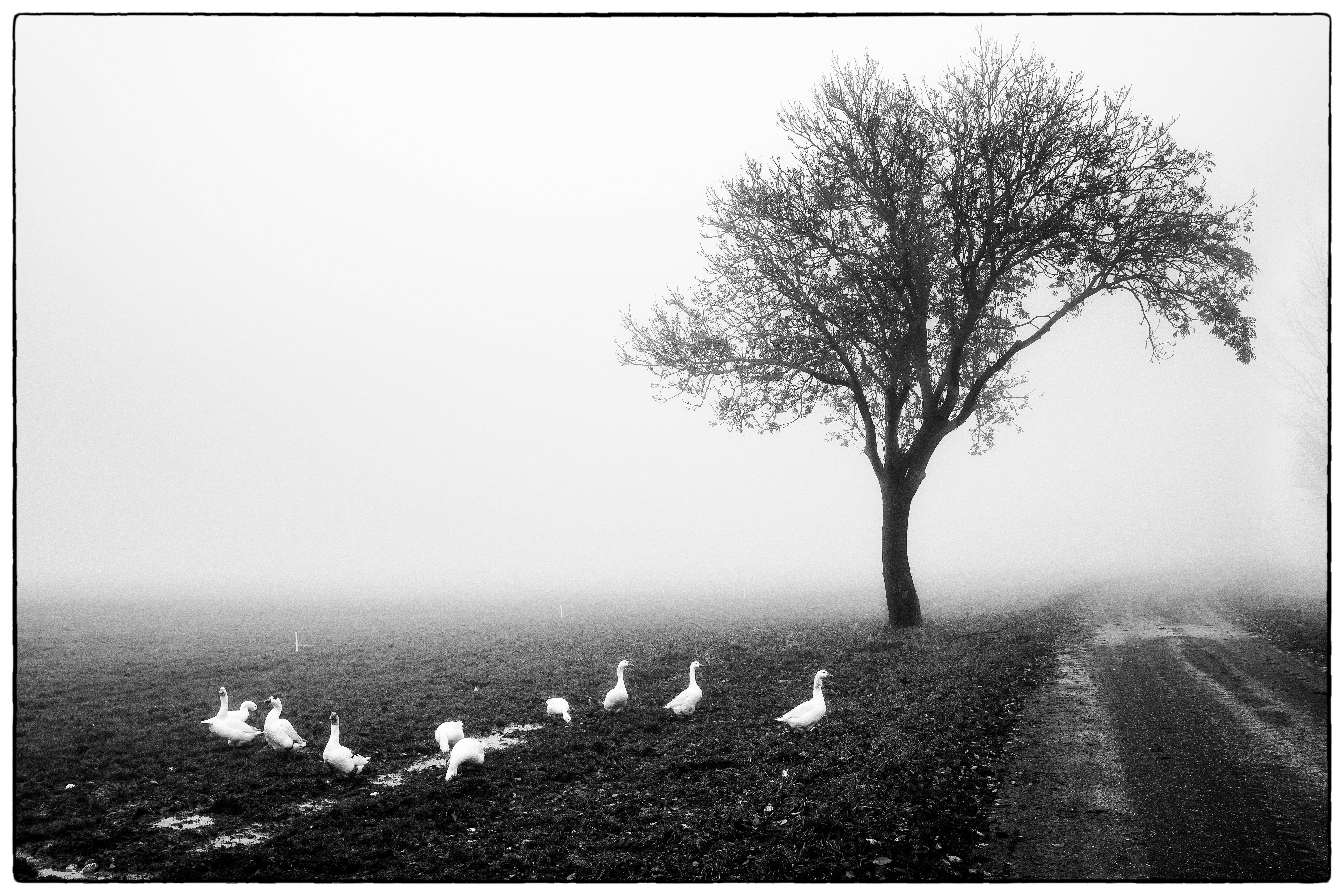 noord-oost-groningen-2019