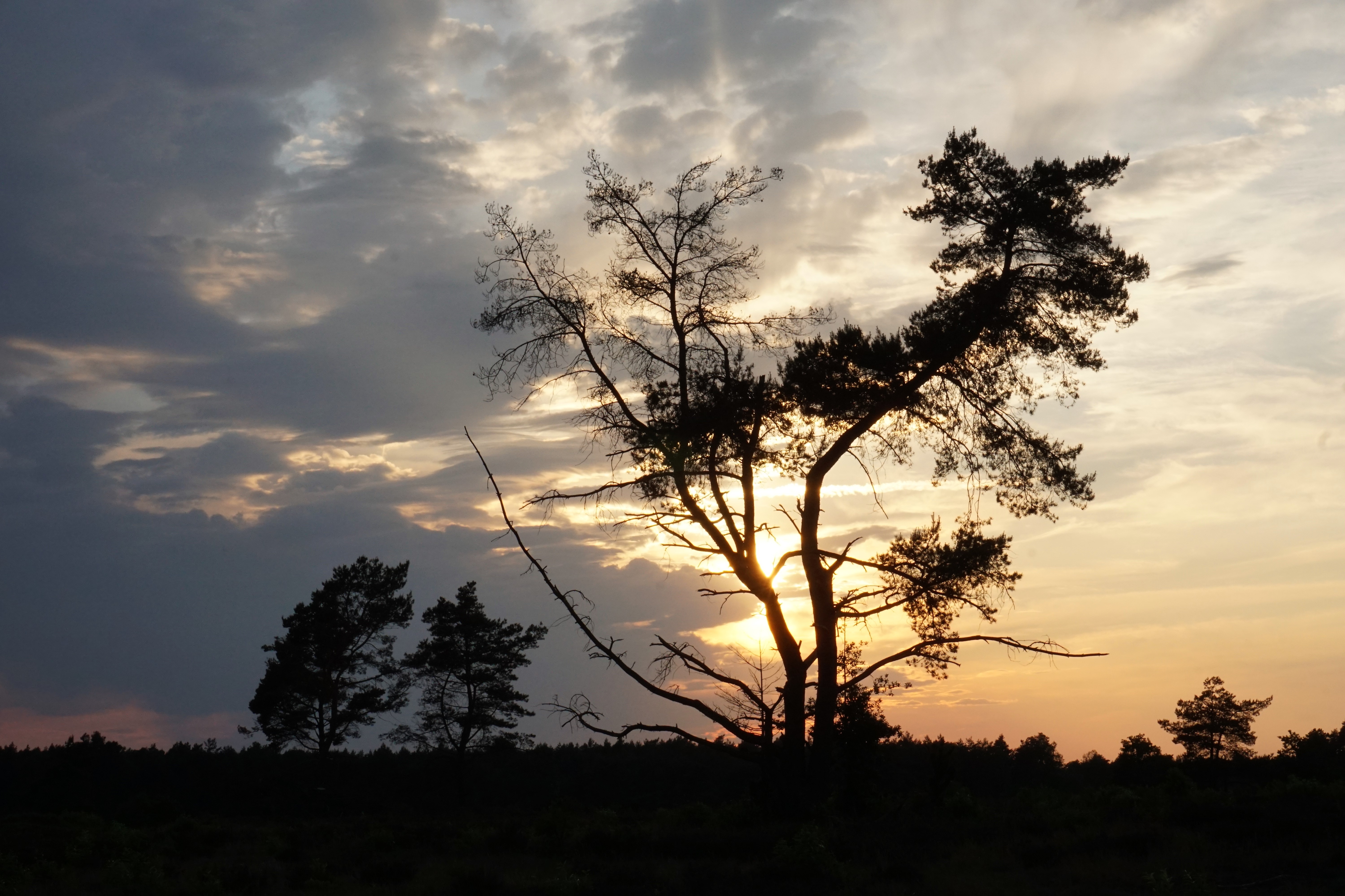 zonsondergang-bij-radio-kootwijk