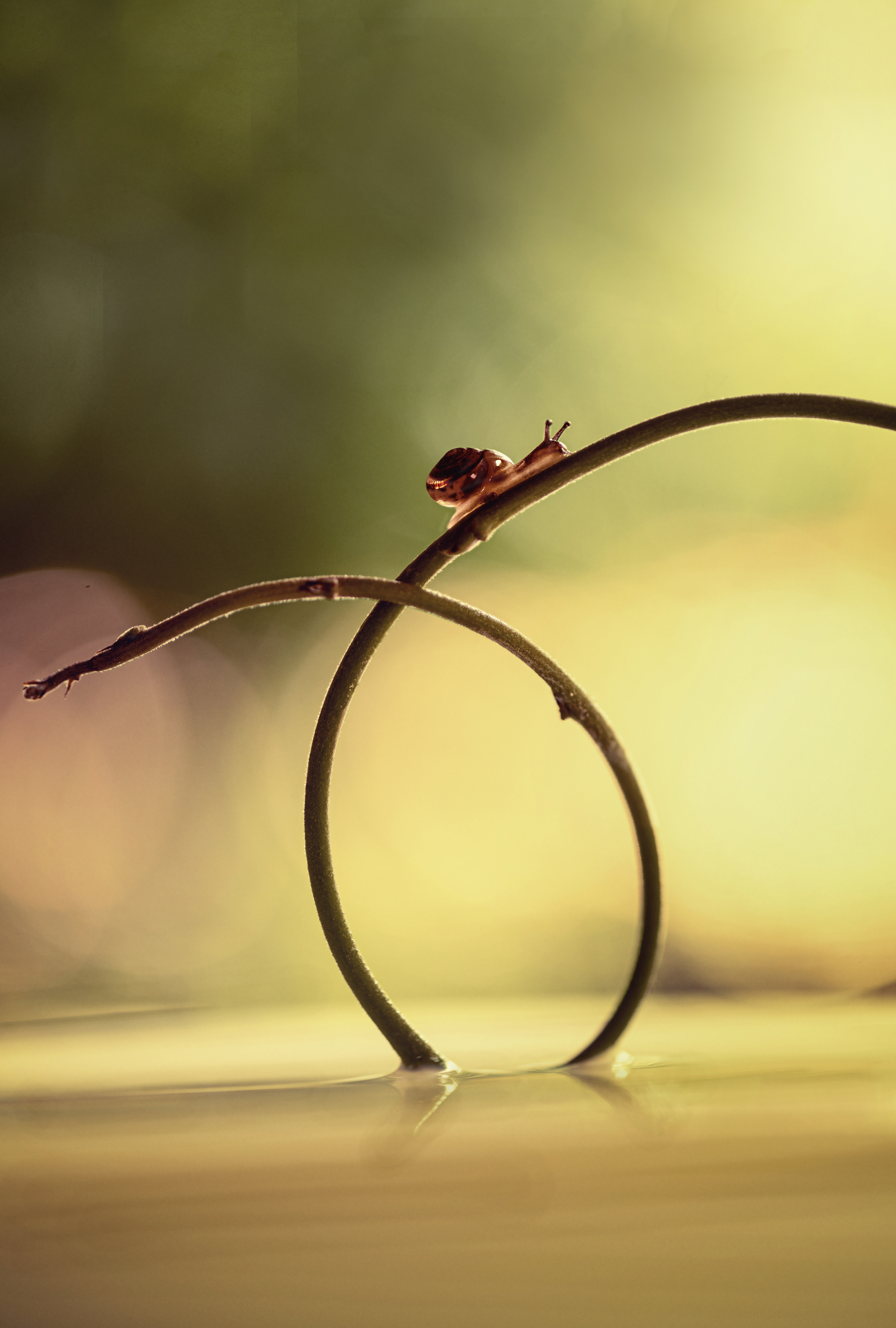 de-kunst-van-close-up