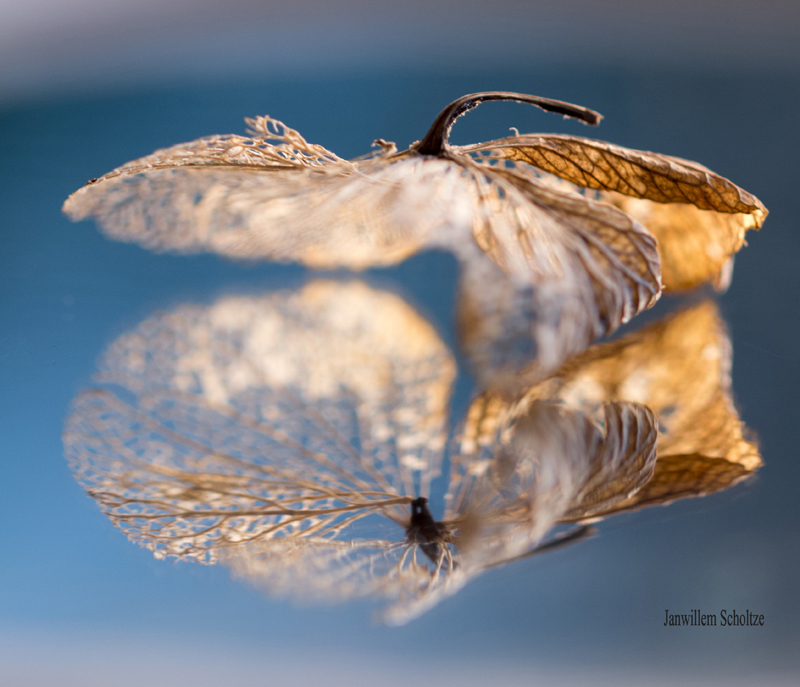 de-kunst-van-close-ups-1-3