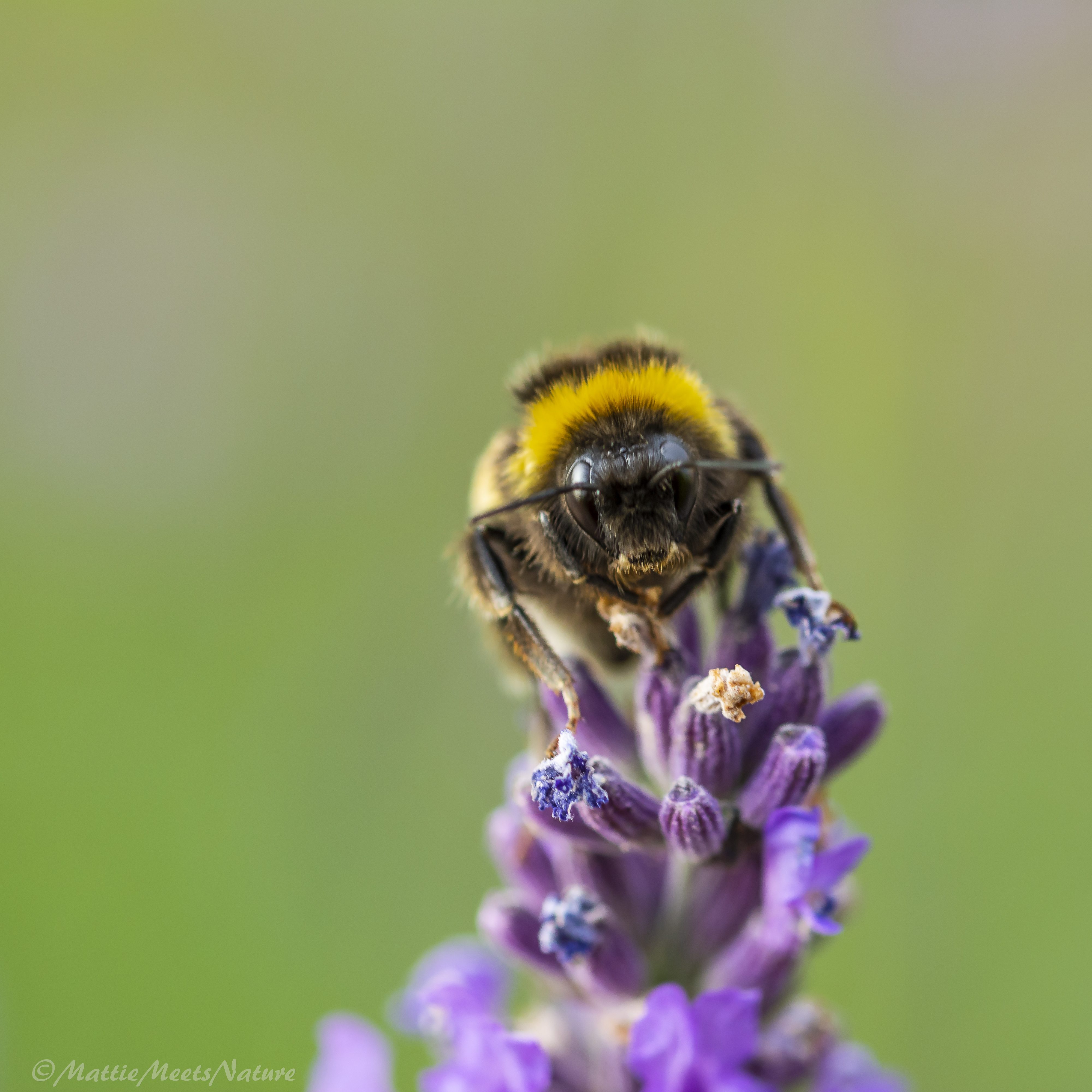 are-you-looking-at-me