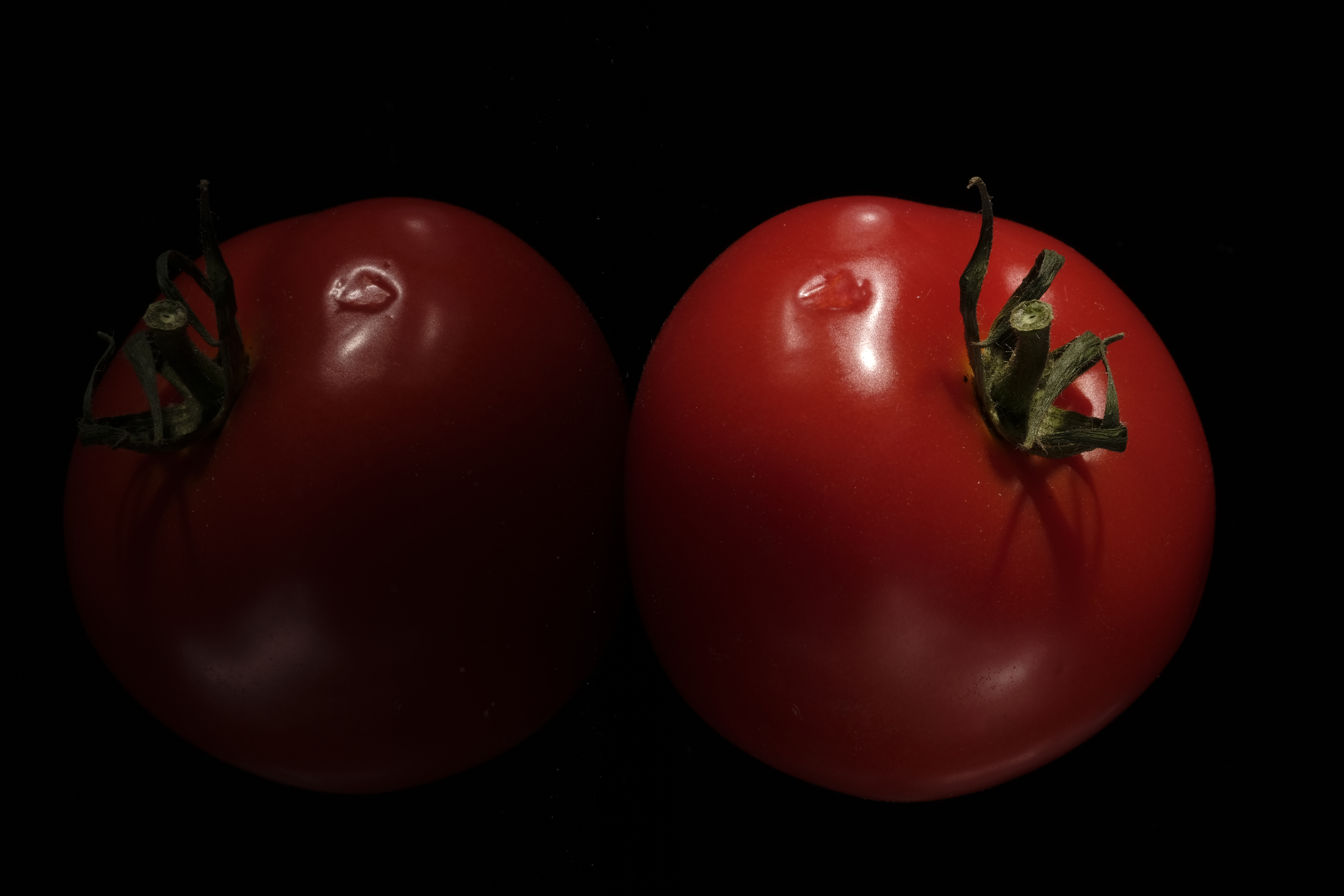 weerbarstig-tomaatje-wil-niet-in-de-portretstand