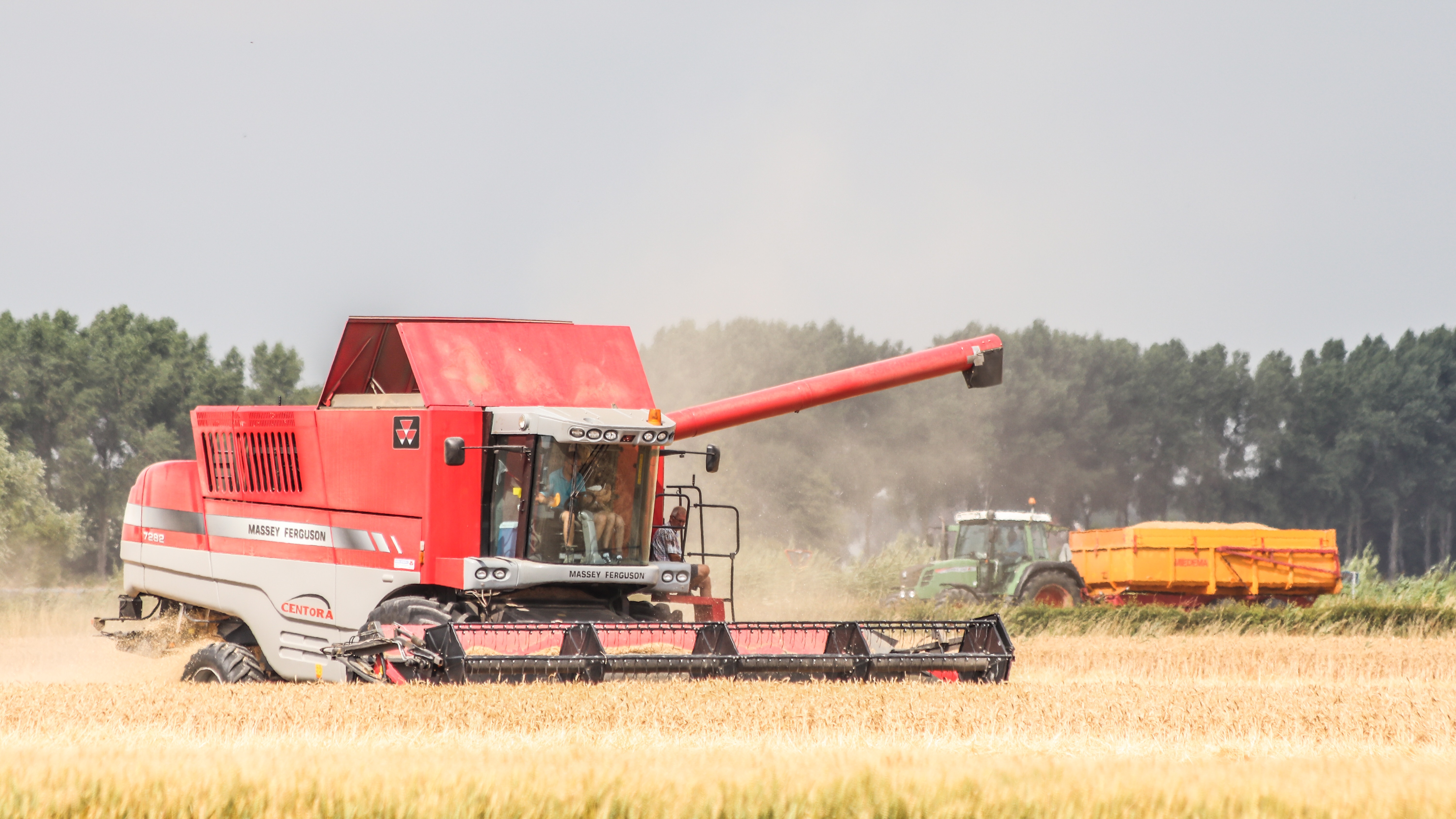 maaidorser-druk-met-het-oogsten-van-het-tarwe