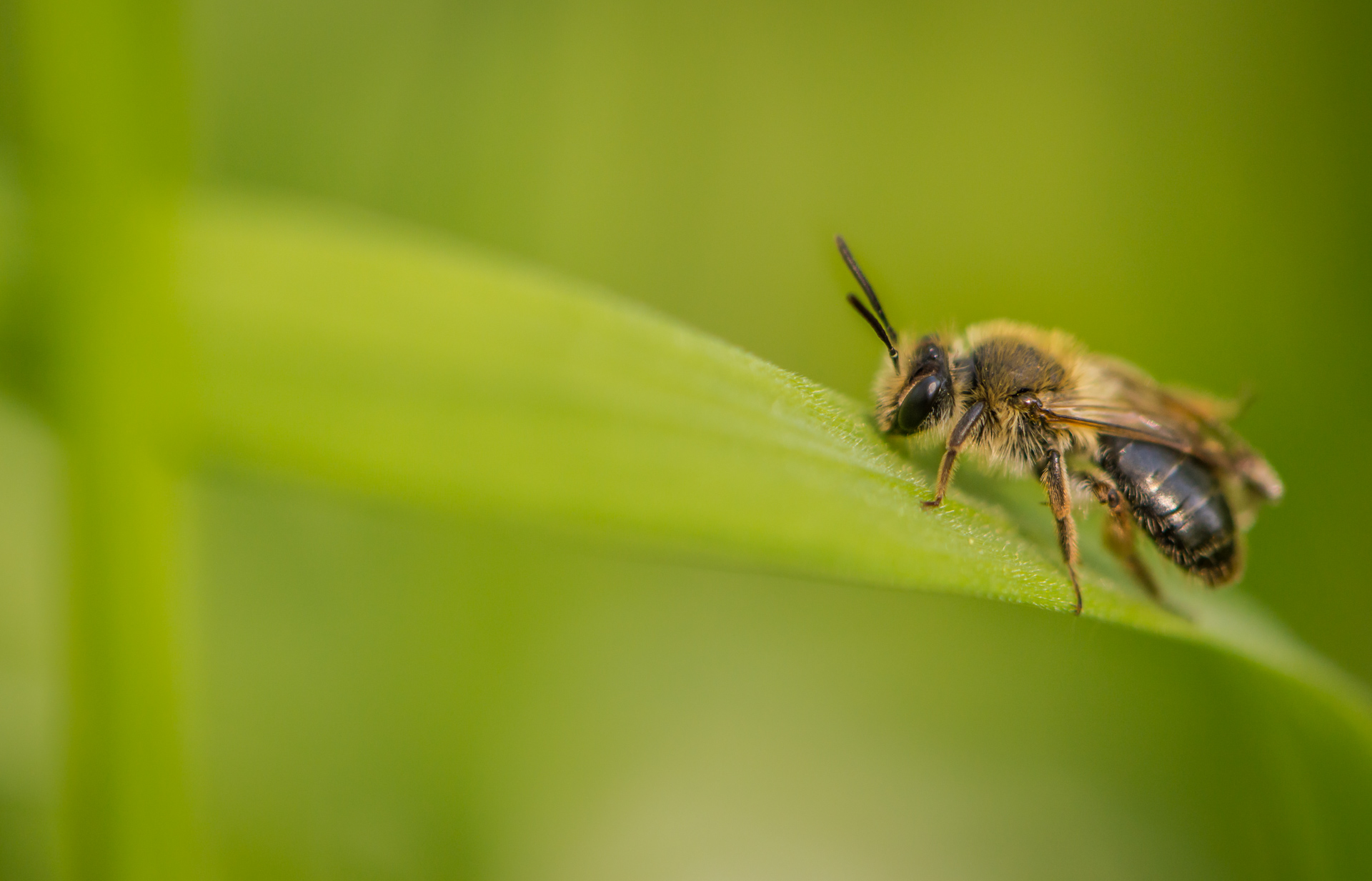 de-kunst-van-close-ups-32