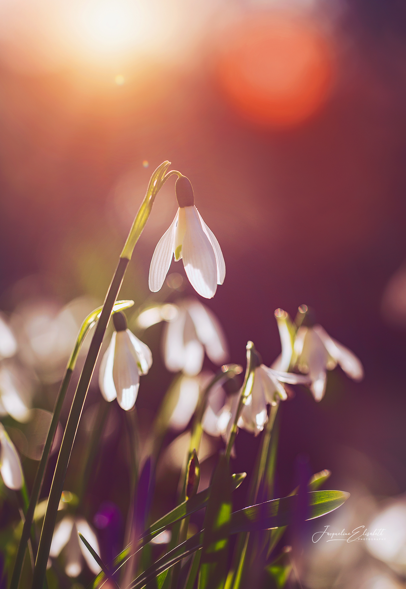 a-moment-so-soft-it-almost-feels-imagined