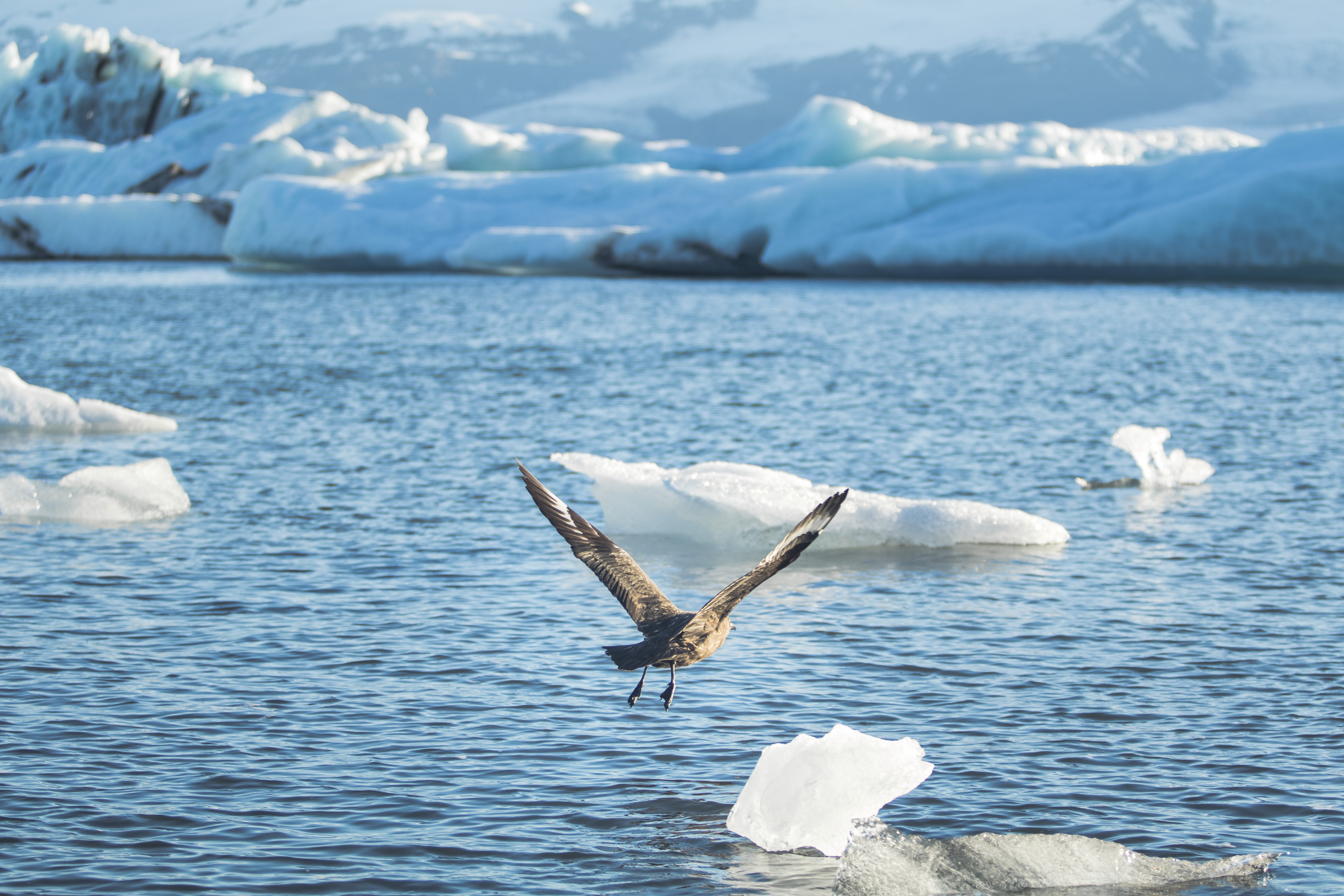 j%C3%B6kuls%C3%A1rl%C3%B3n-ijsland