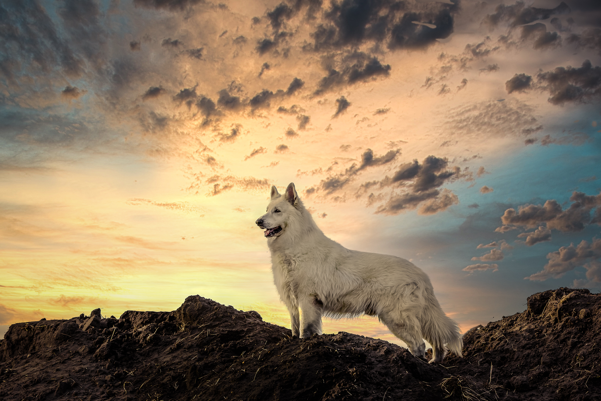 king-of-the-mountain