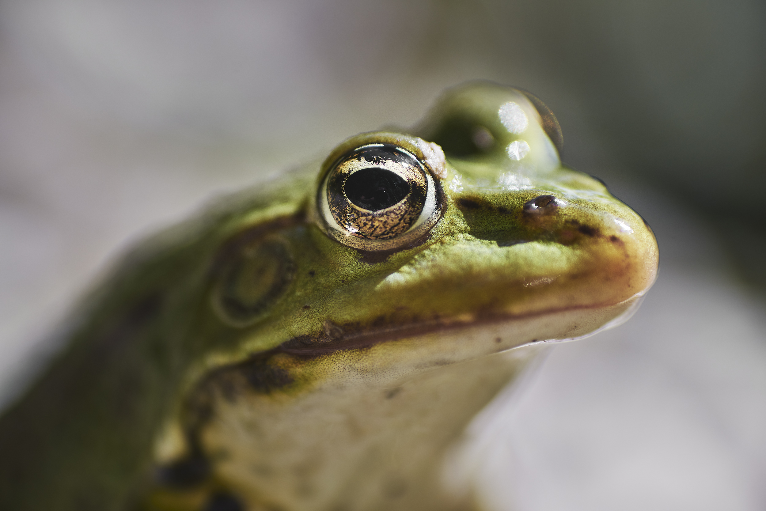 de-kunst-van-close-ups-46