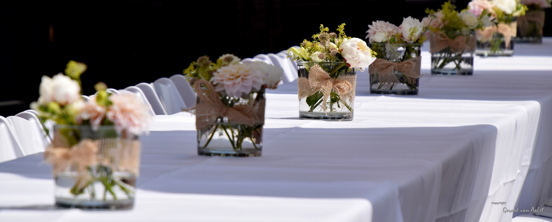 allemaal-keurig-in-de-rij