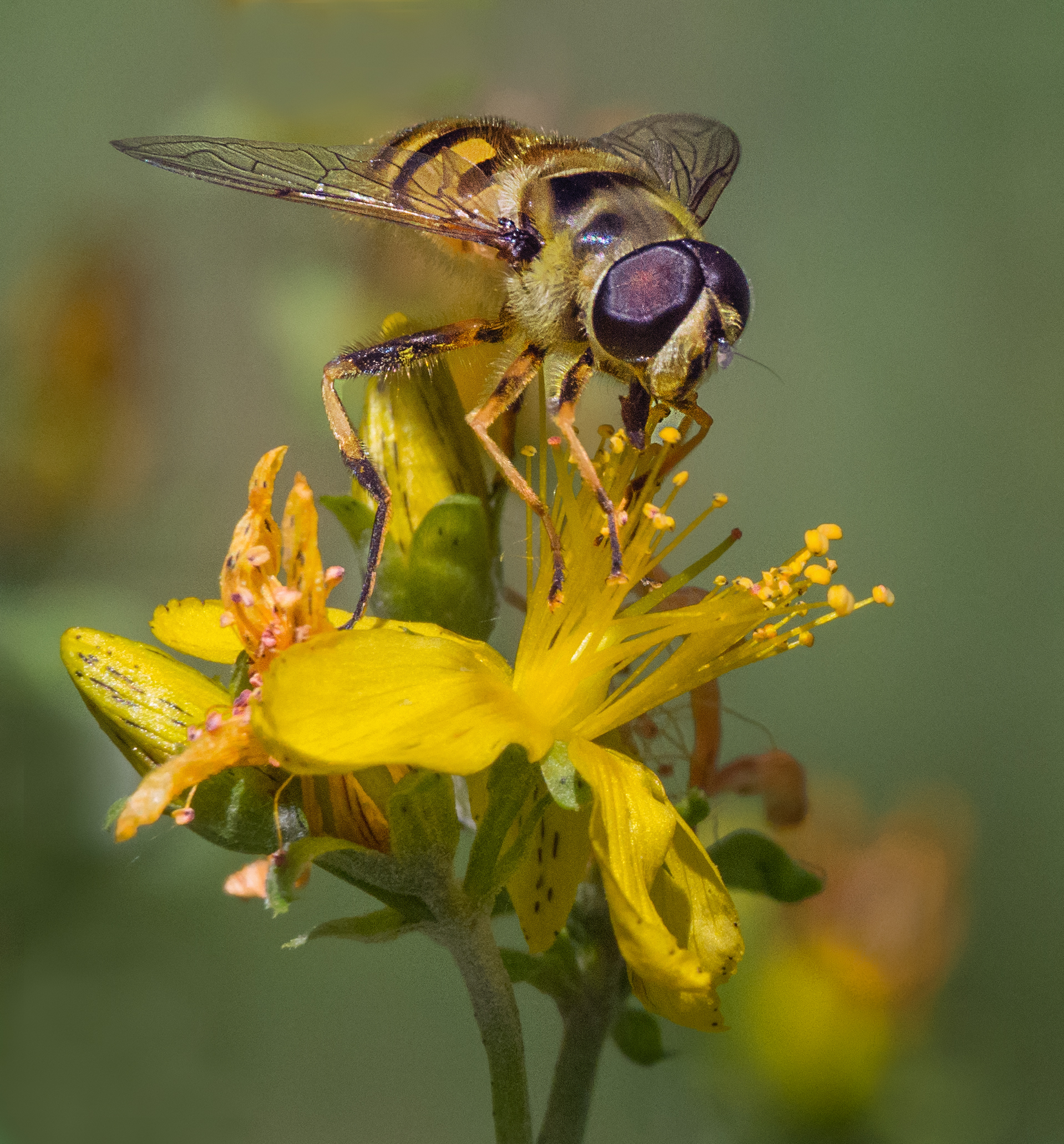 de-kunst-van-close-ups-49