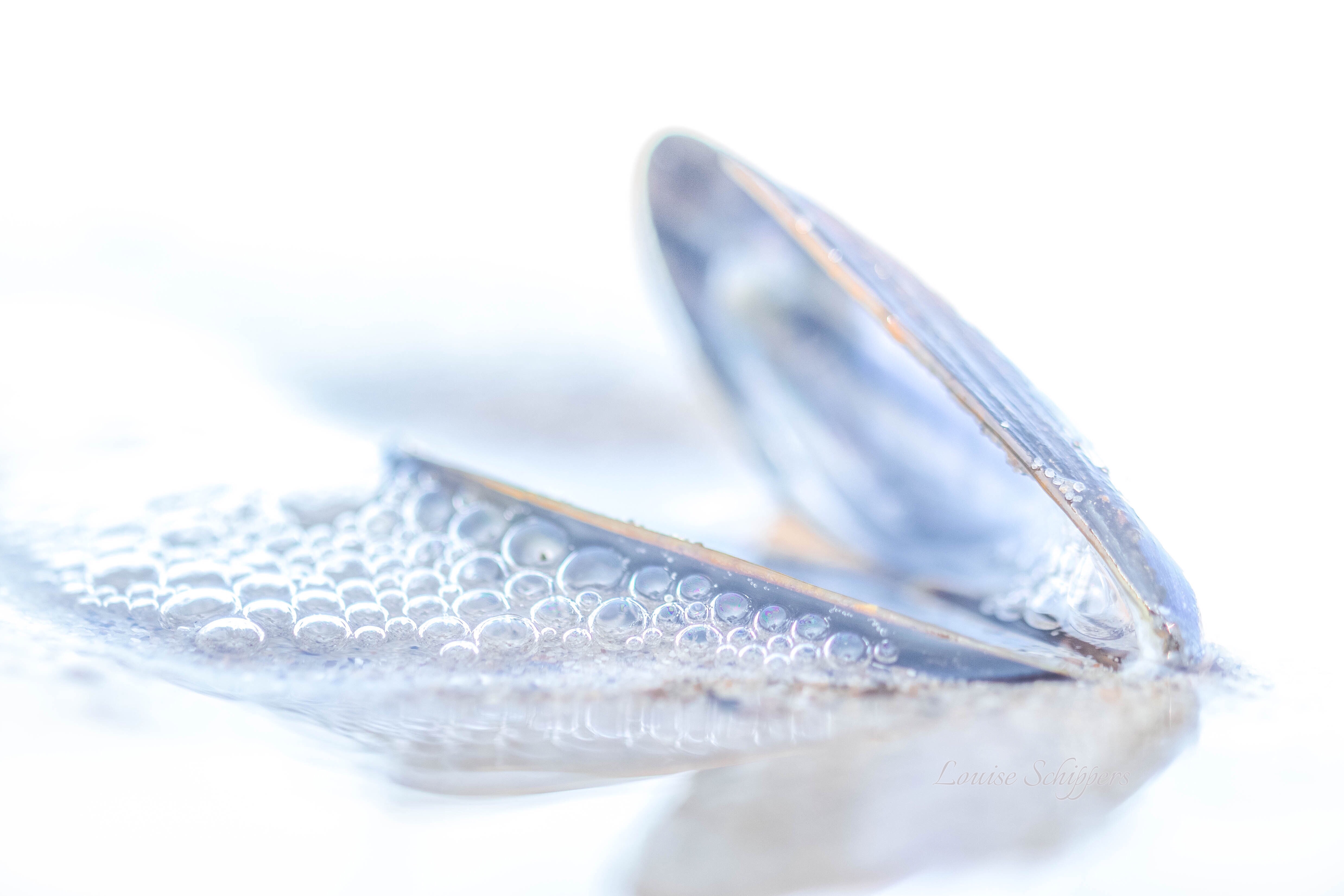 its-the-little-things-that-do