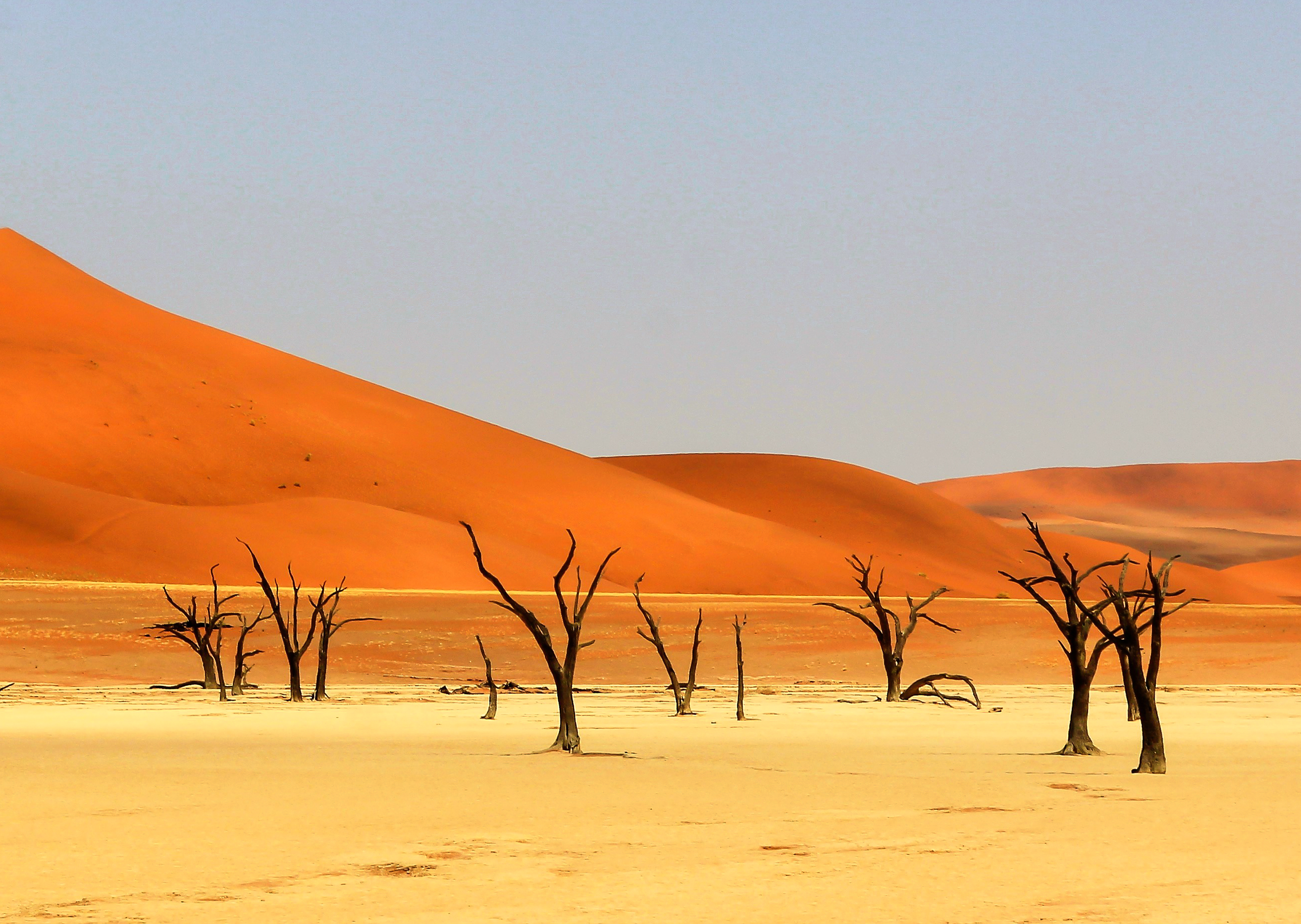 een-kleurenpalet-in-sosusvlei-namibi%C3%AB
