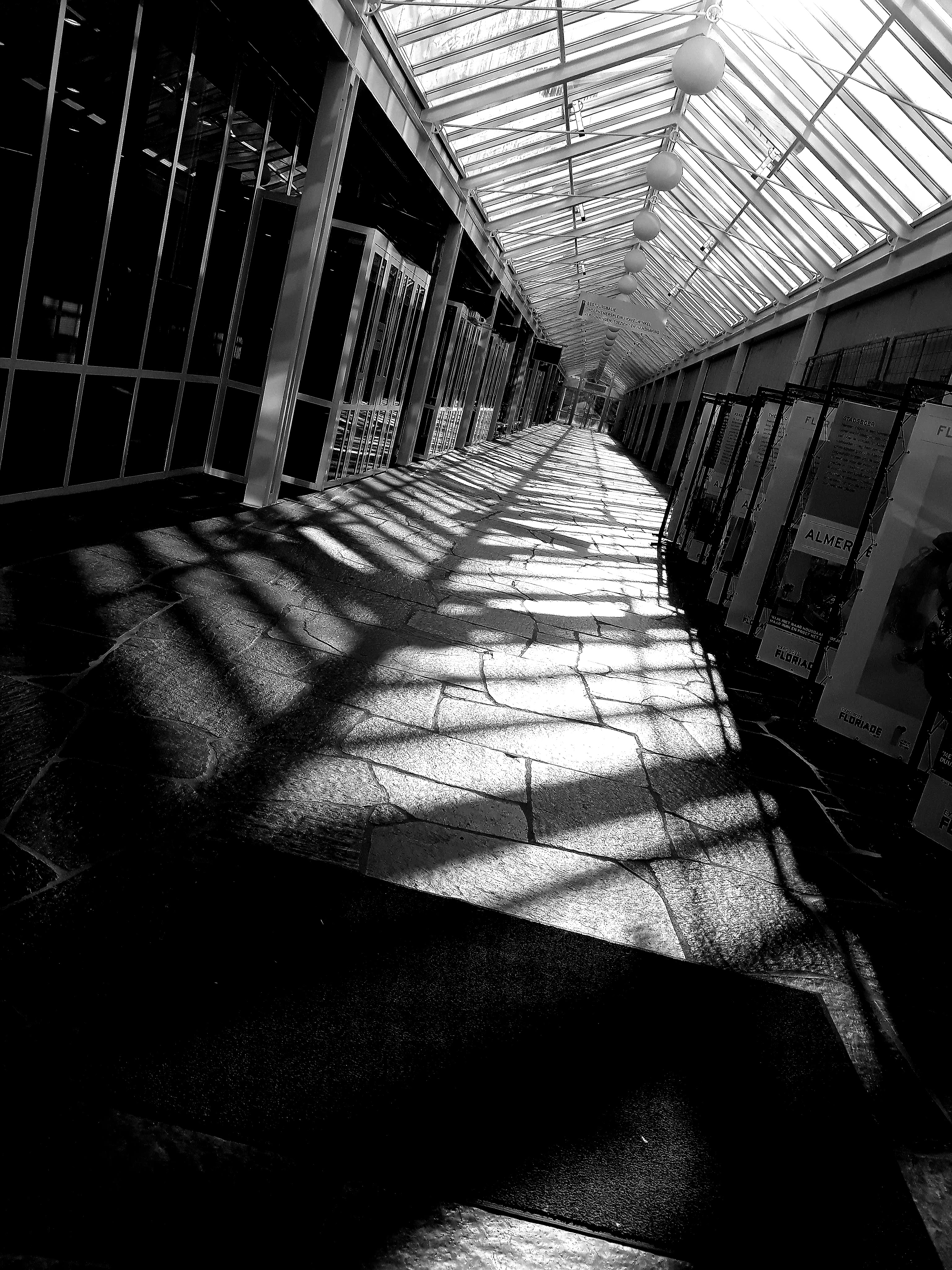 hallway-in-black-and-white