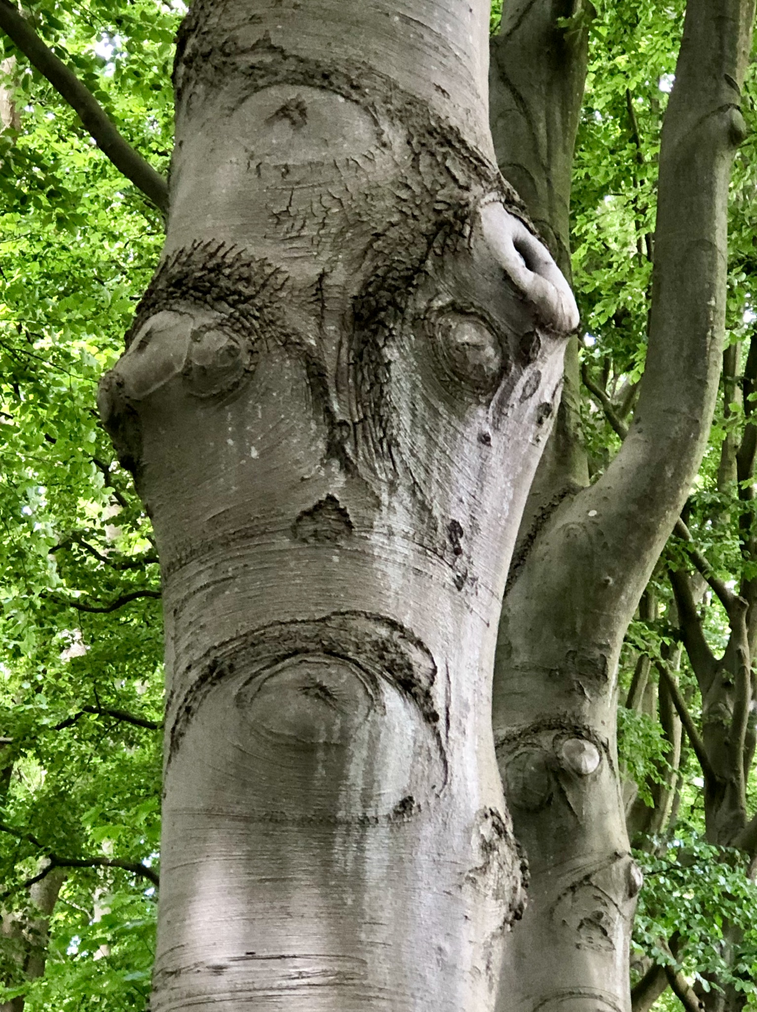 hij-bekijkt-de-wereld