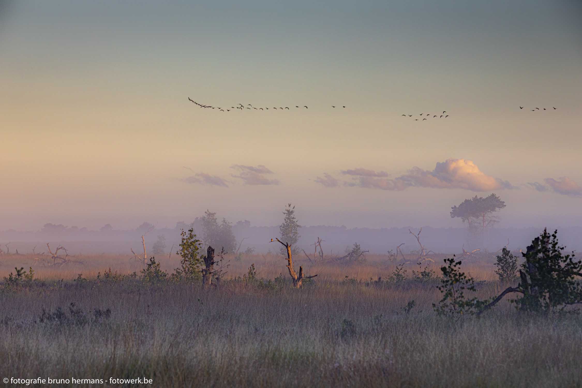 grenspark-kalmthoutse-heide