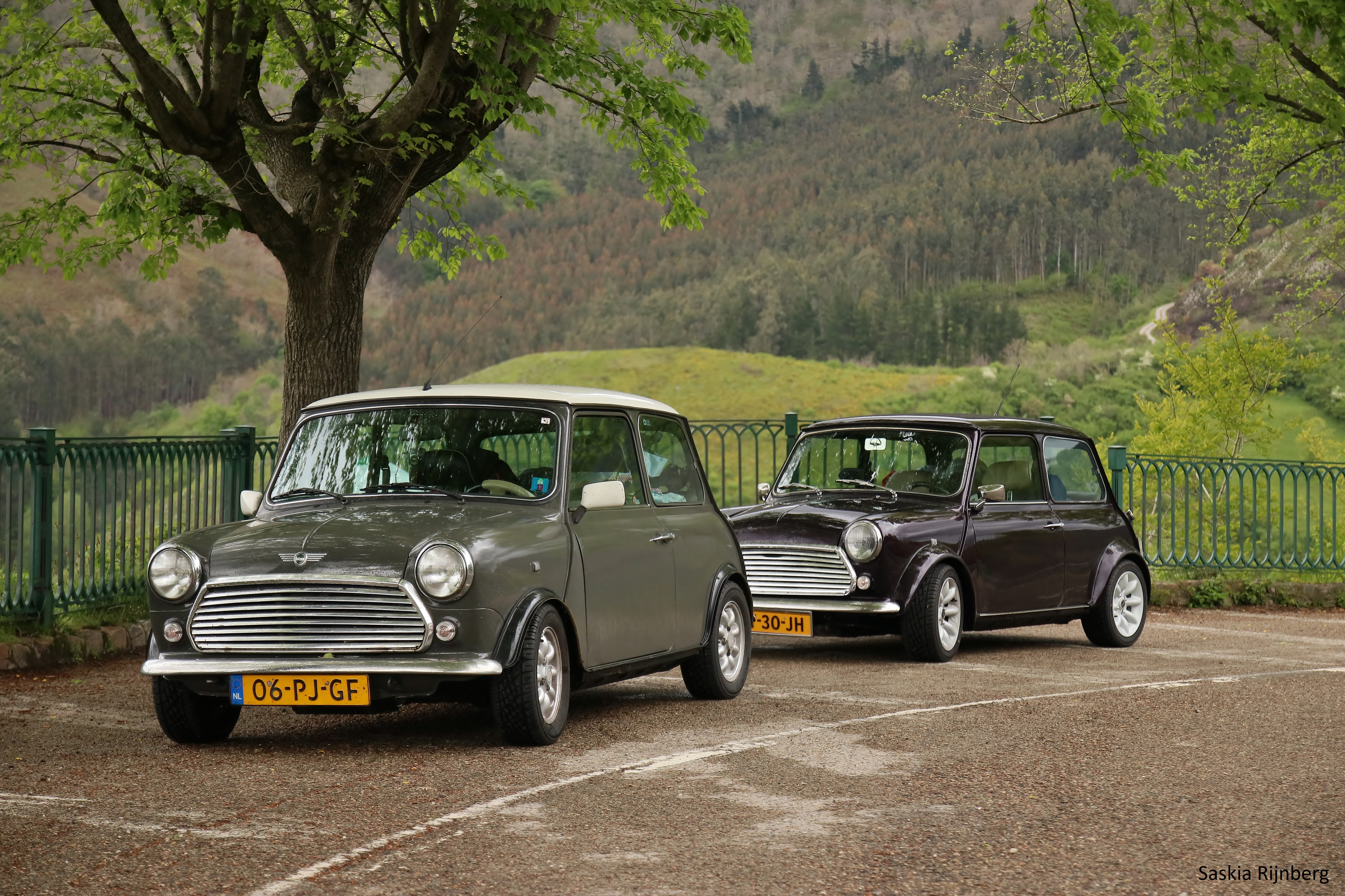 minis-on-the-road