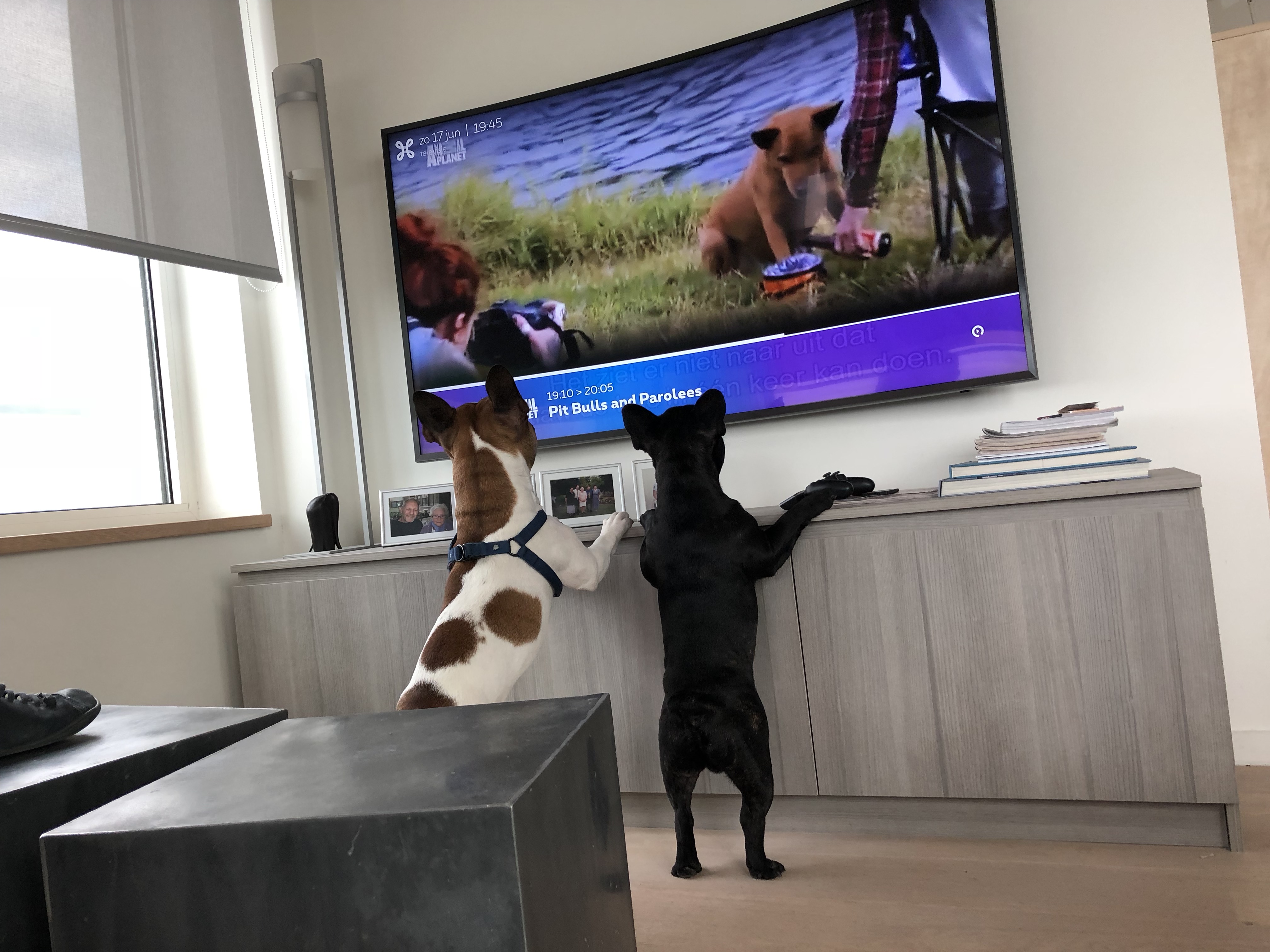 ons-favoriet-programma