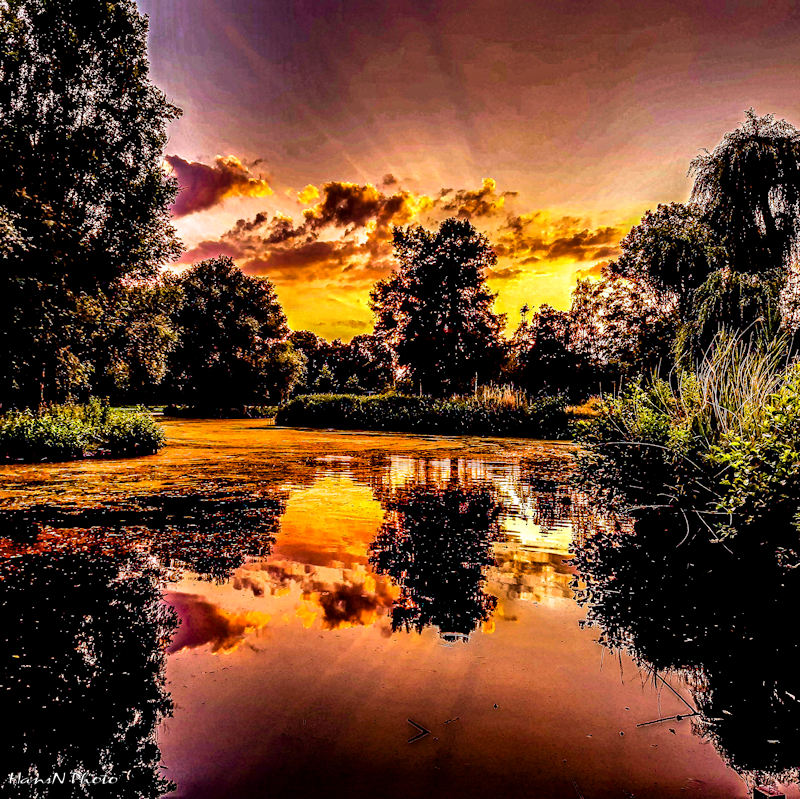 zonsondergang-gouwebos-waddinxveen