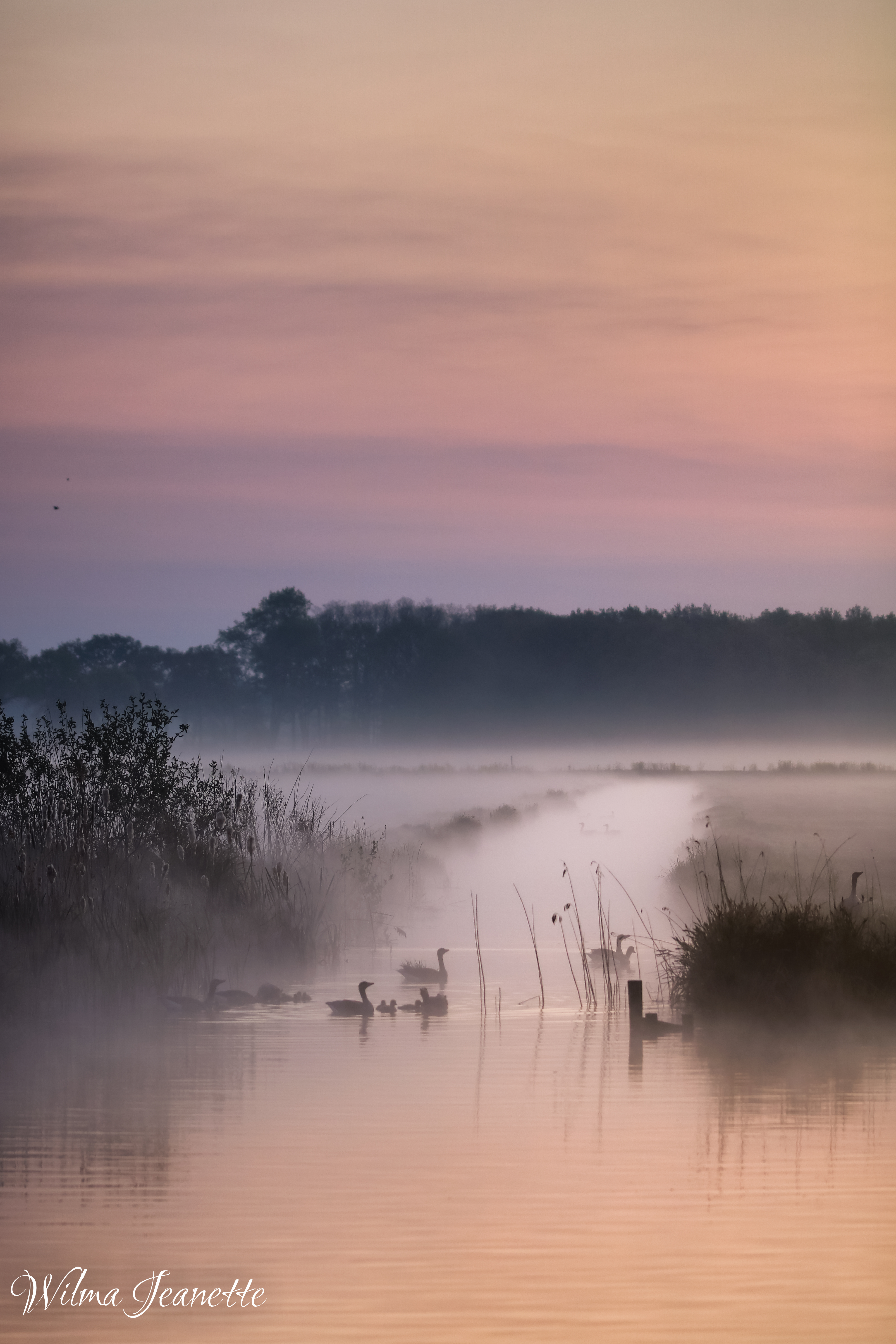 start-van-een-nieuwe-dag
