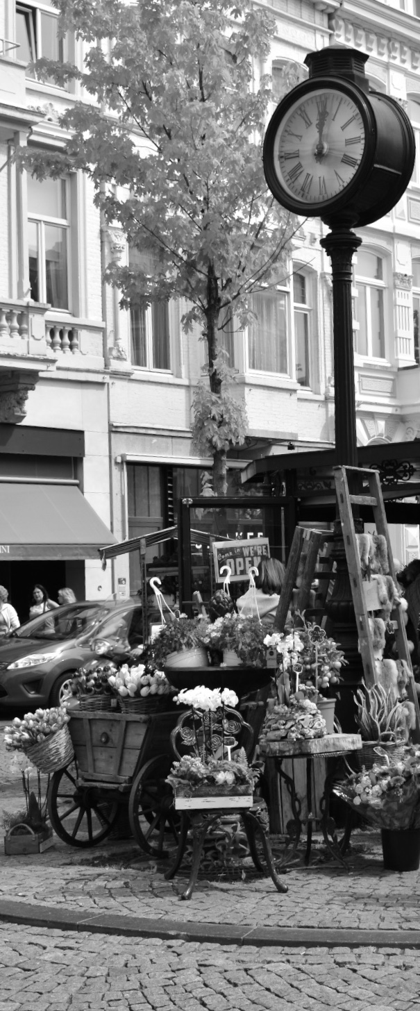 bloemenstal-maastricht