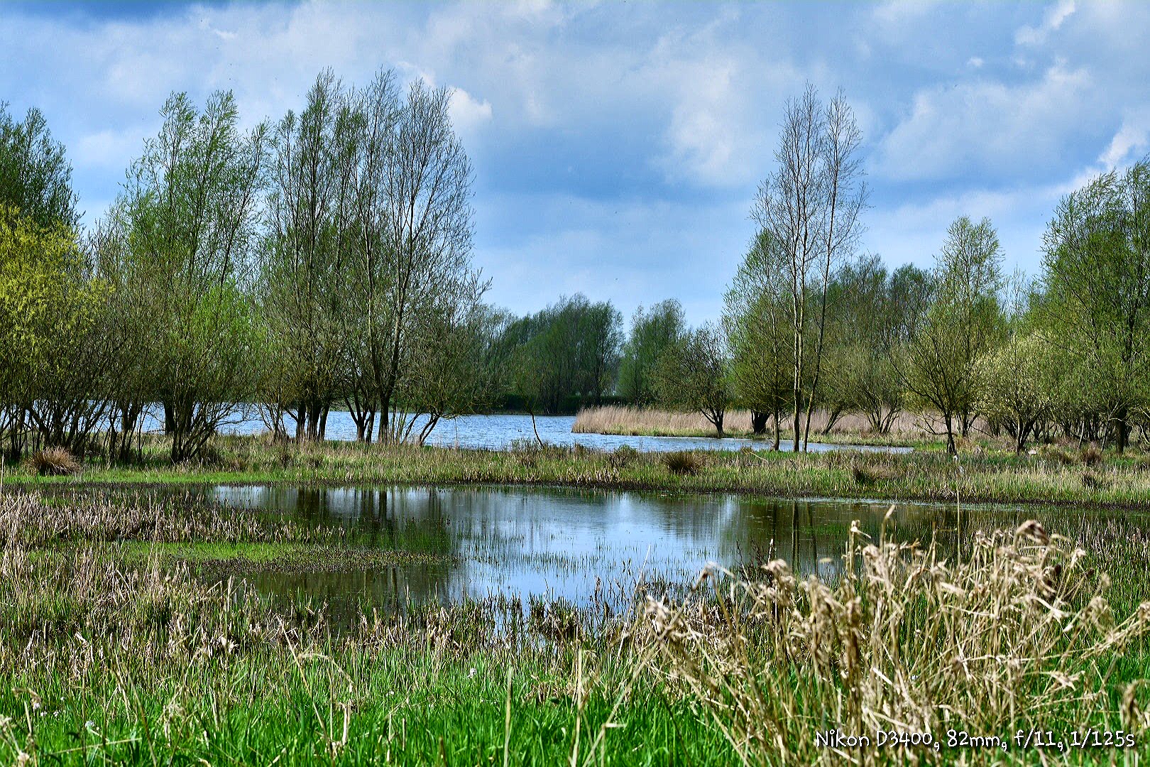 landschap-1
