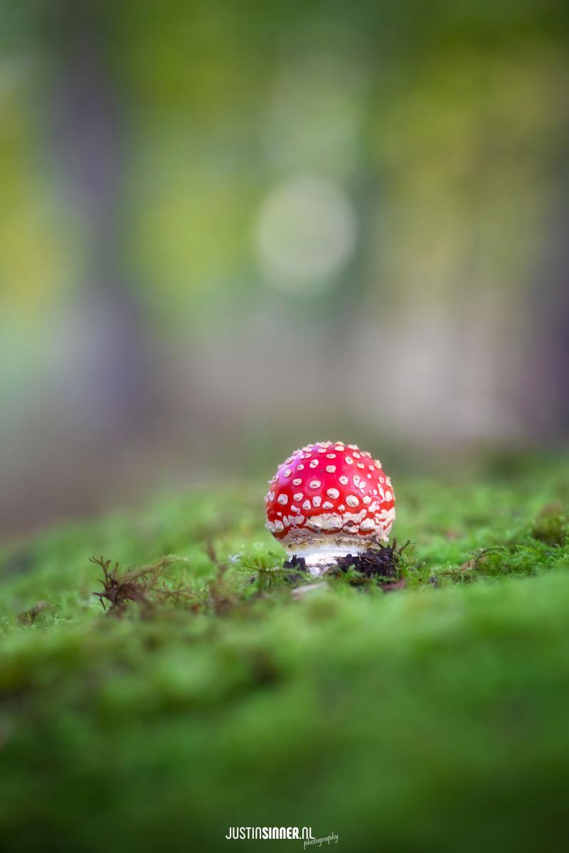 ze-schieten-de-grond-uit