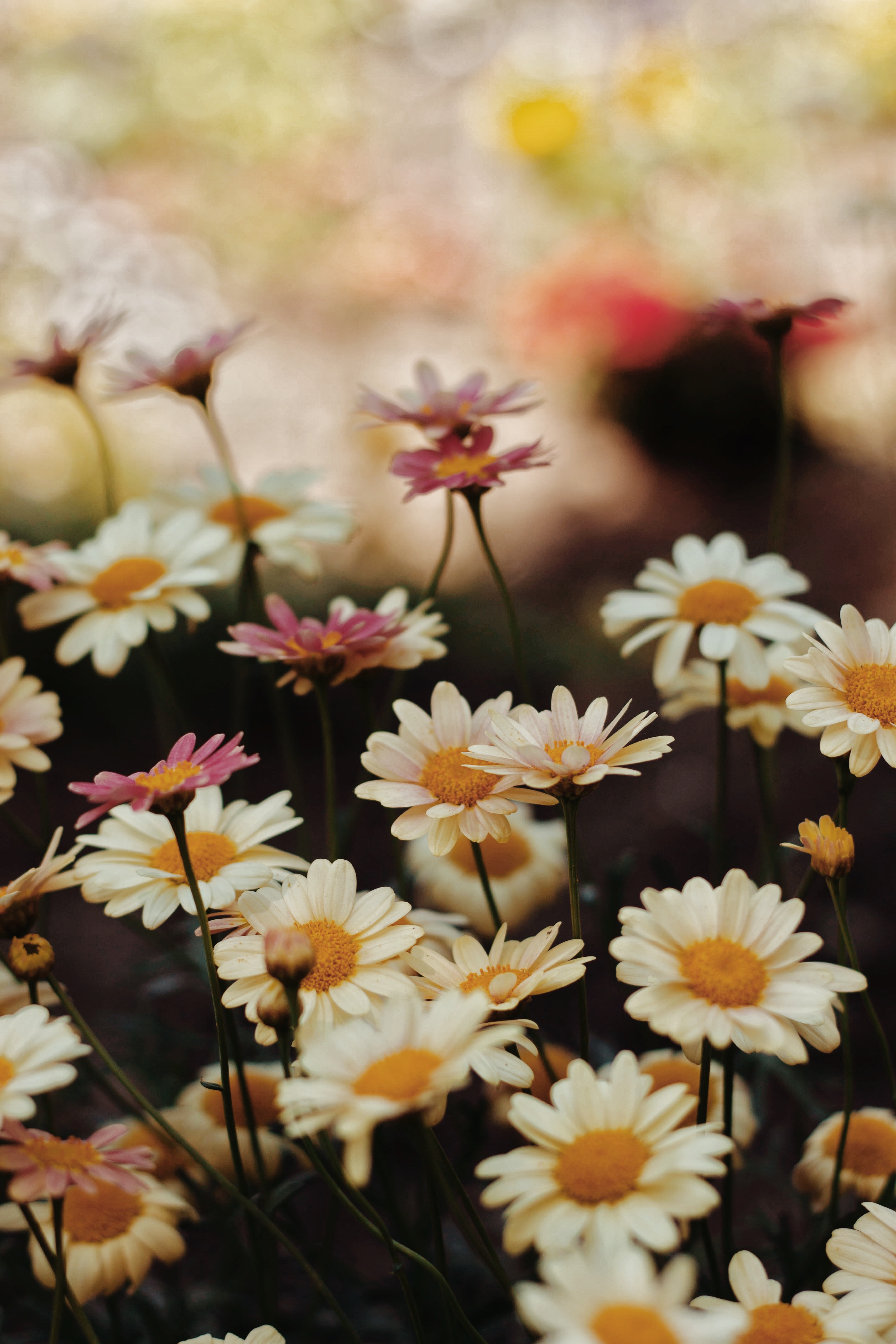 hier-word-je-toch-vrolijk-van