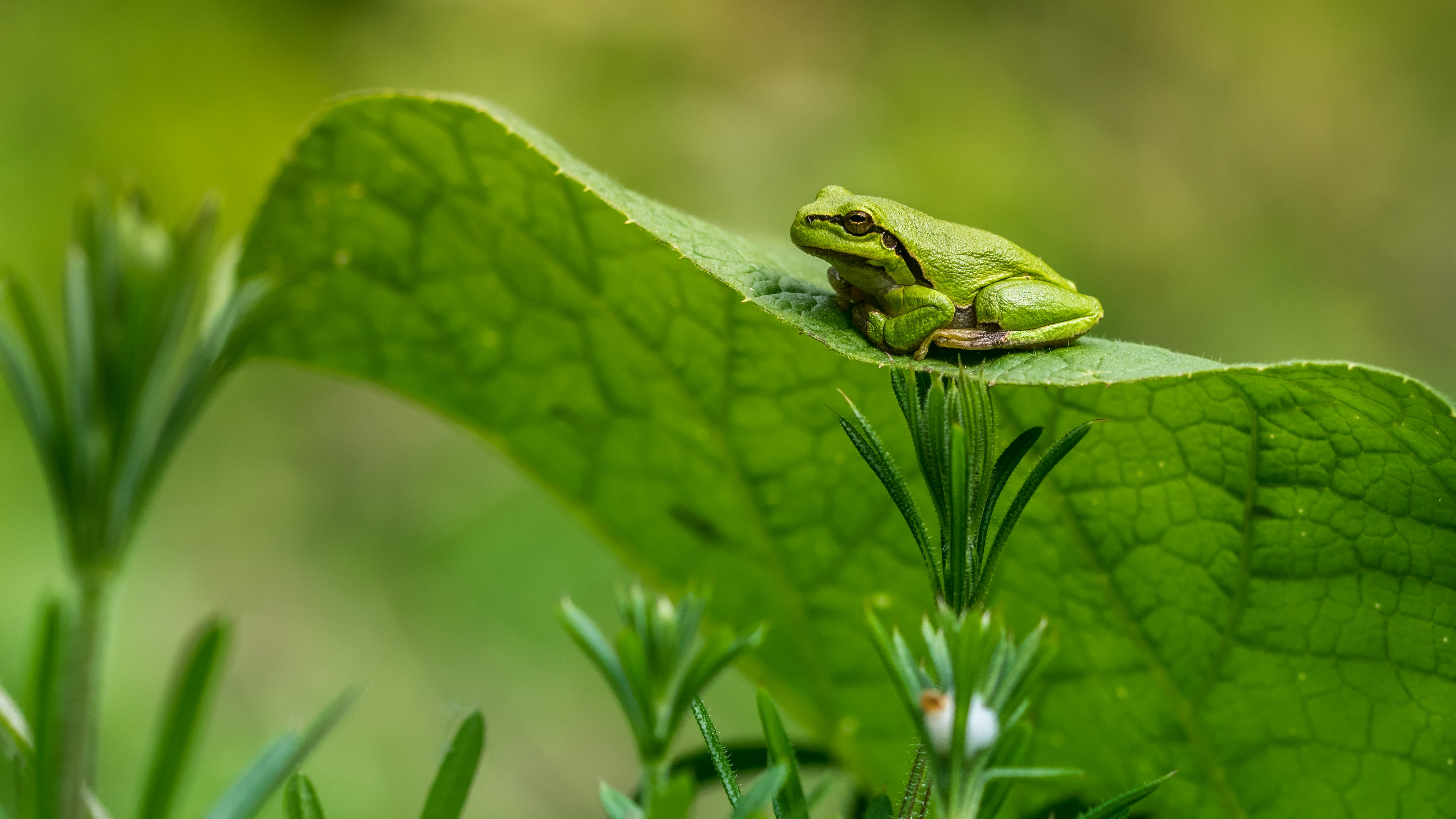 heerlijk-genieten-van-het-voorjaarszonnetje