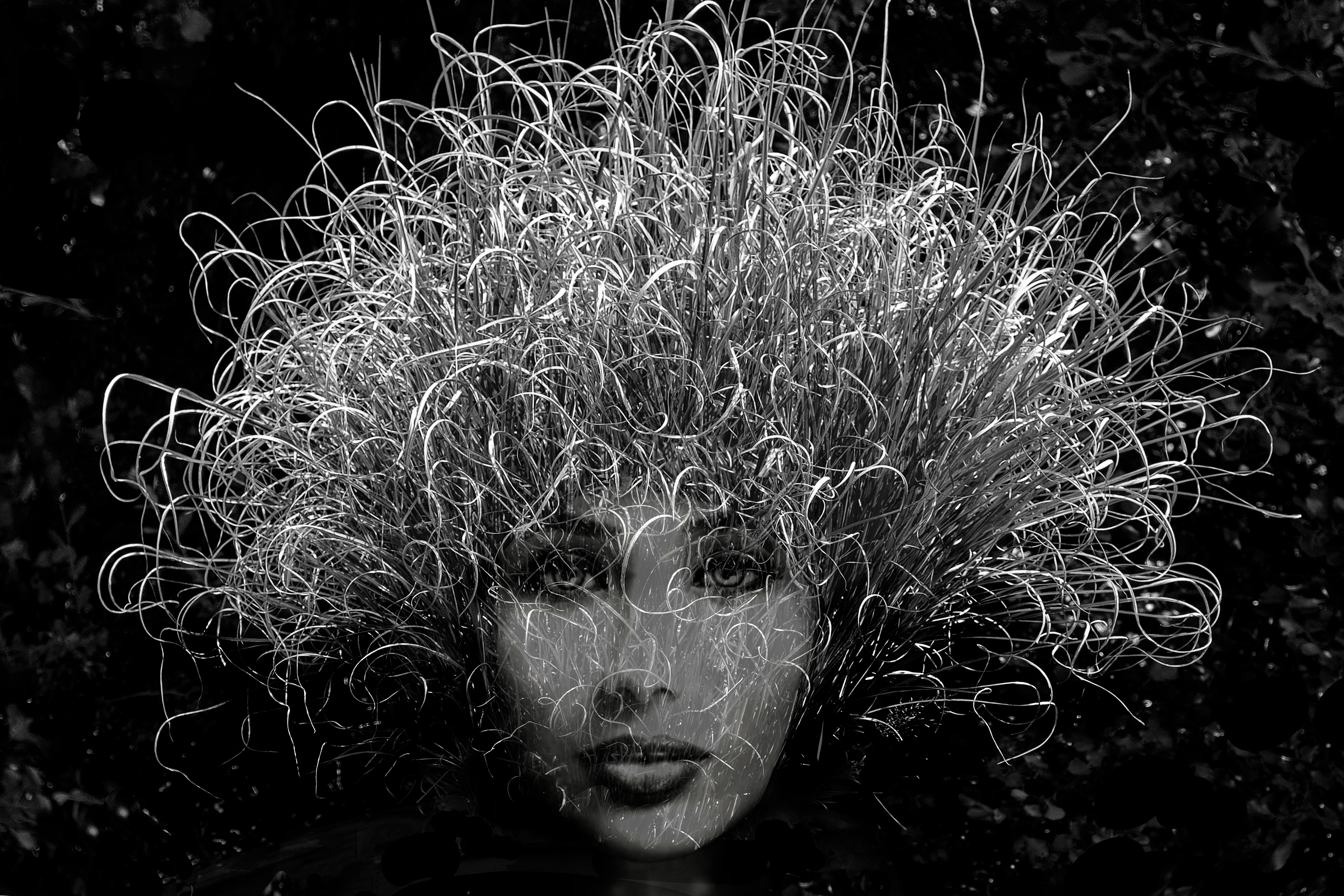 schoonheid-der-natuur