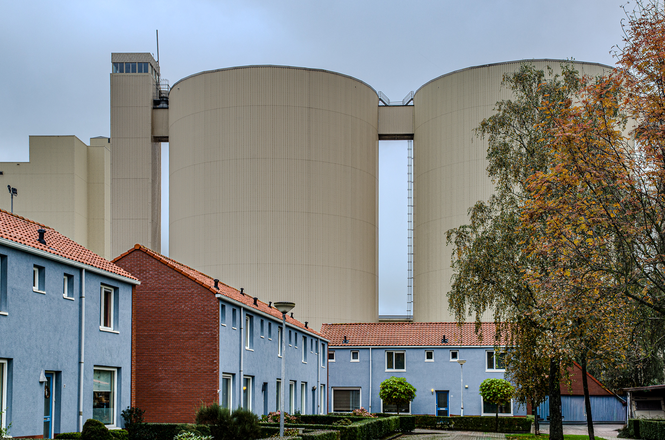 leven-in-de-schaduw-van-reuzen