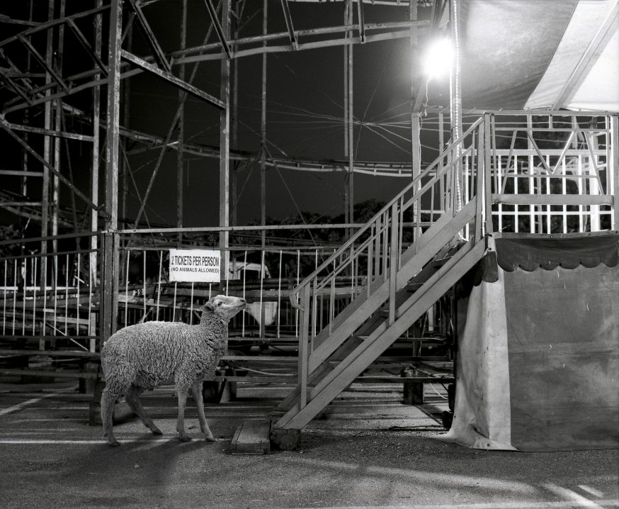 Justin Dingwall