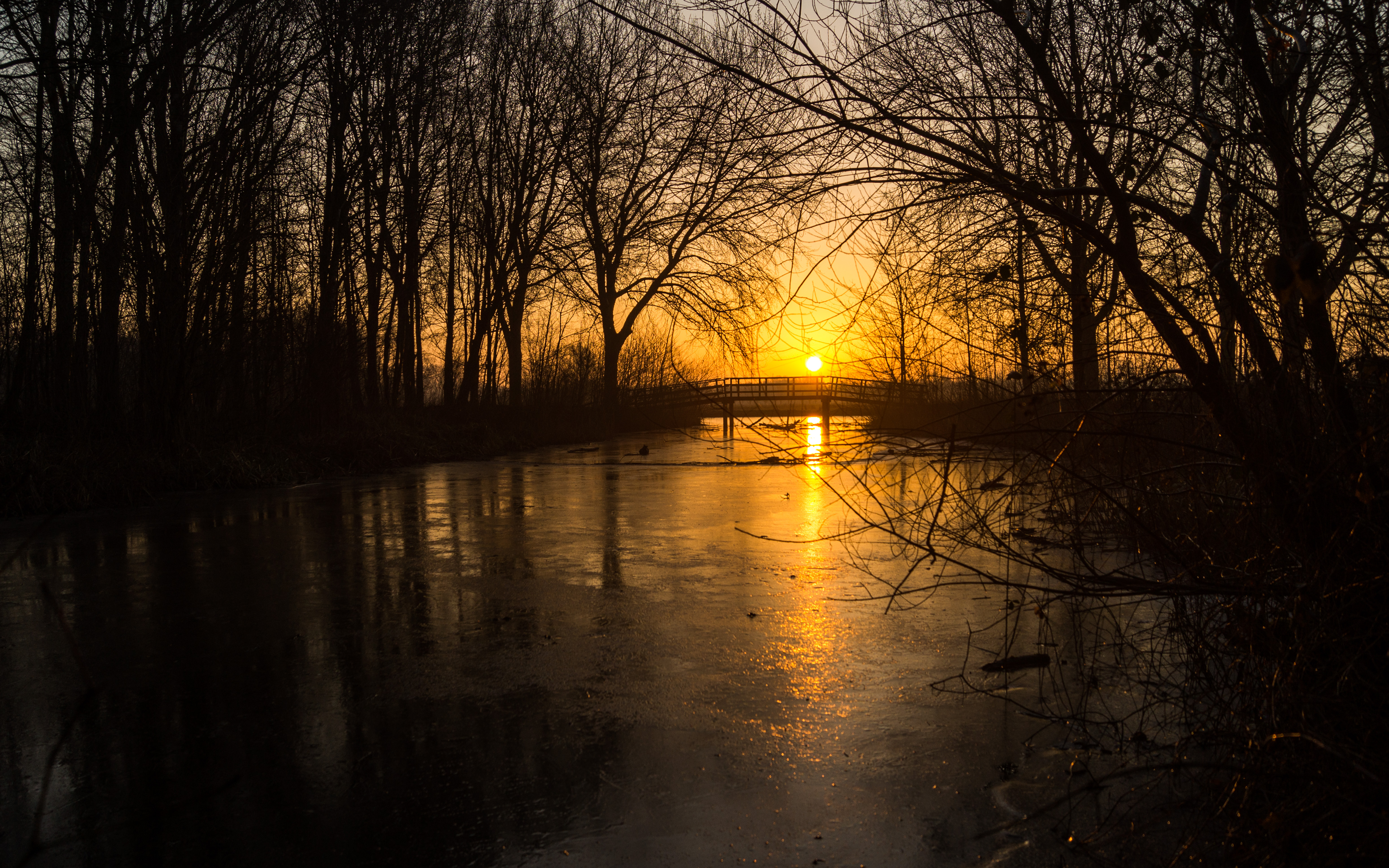 come-up-and-feel-the-sun