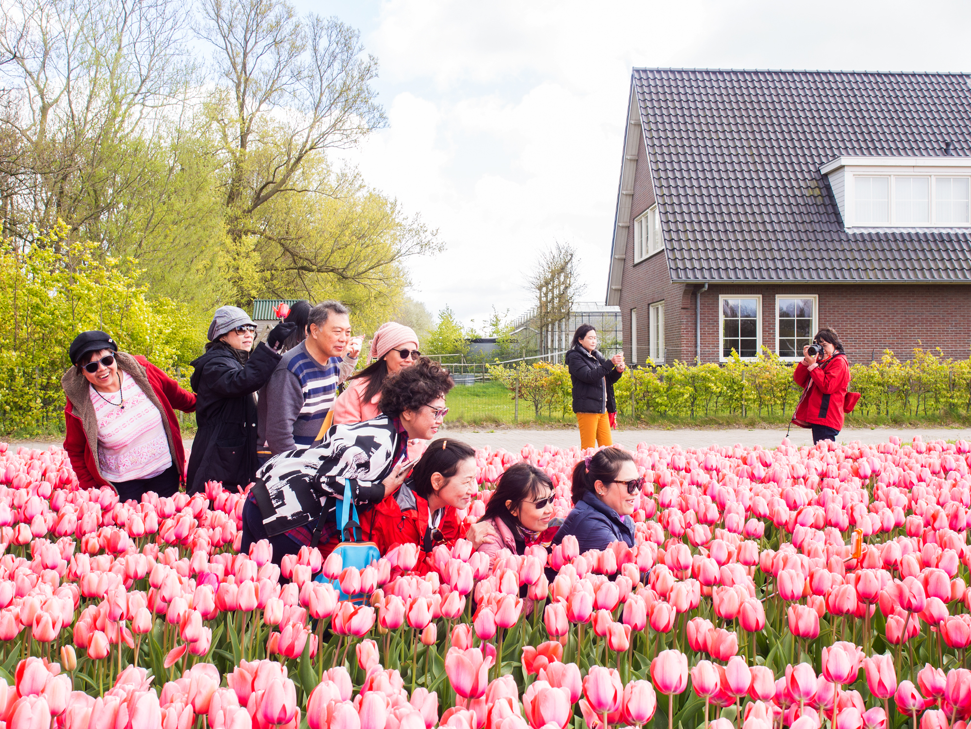 tourists-in-tulips