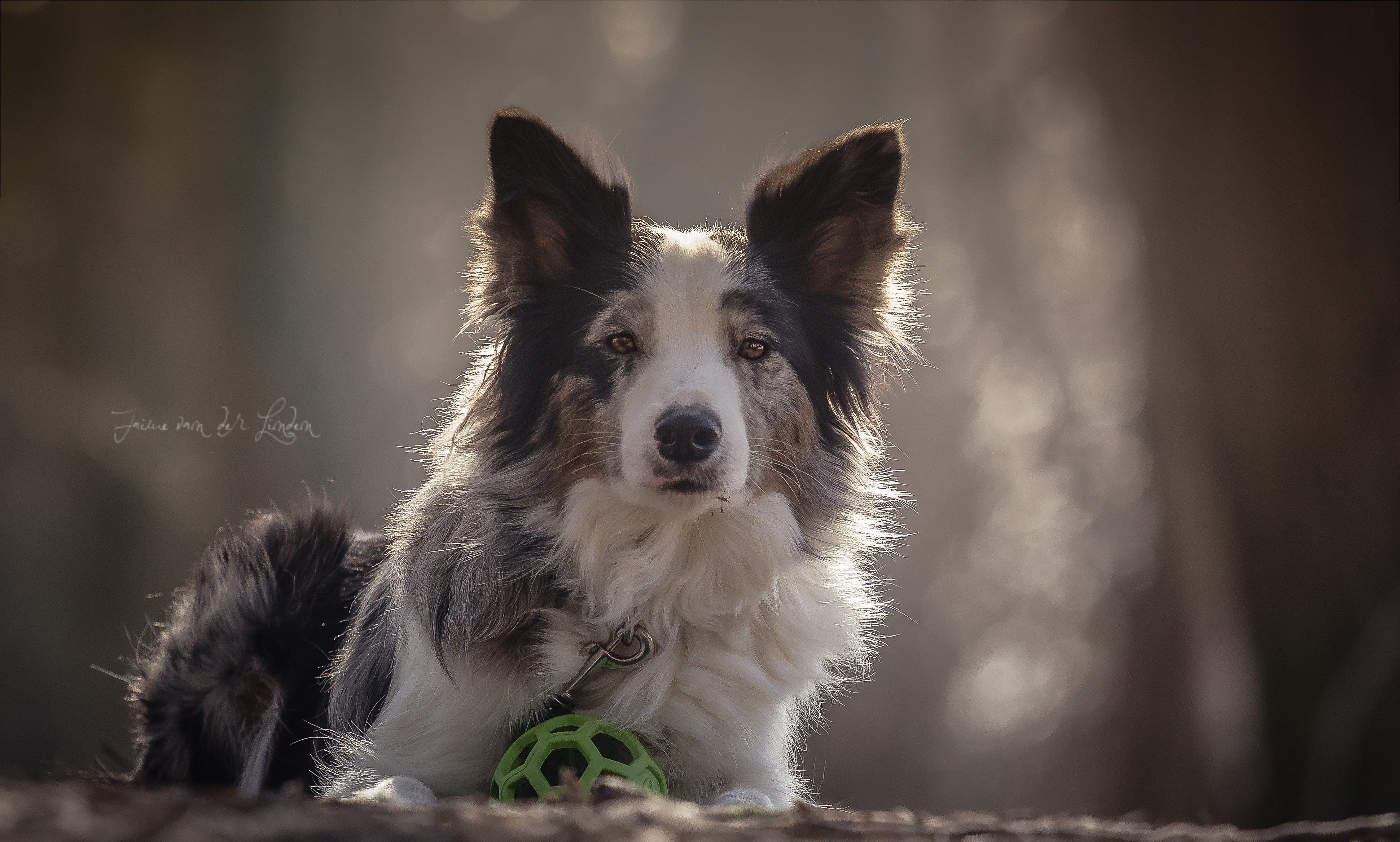 think-happy-be-happy