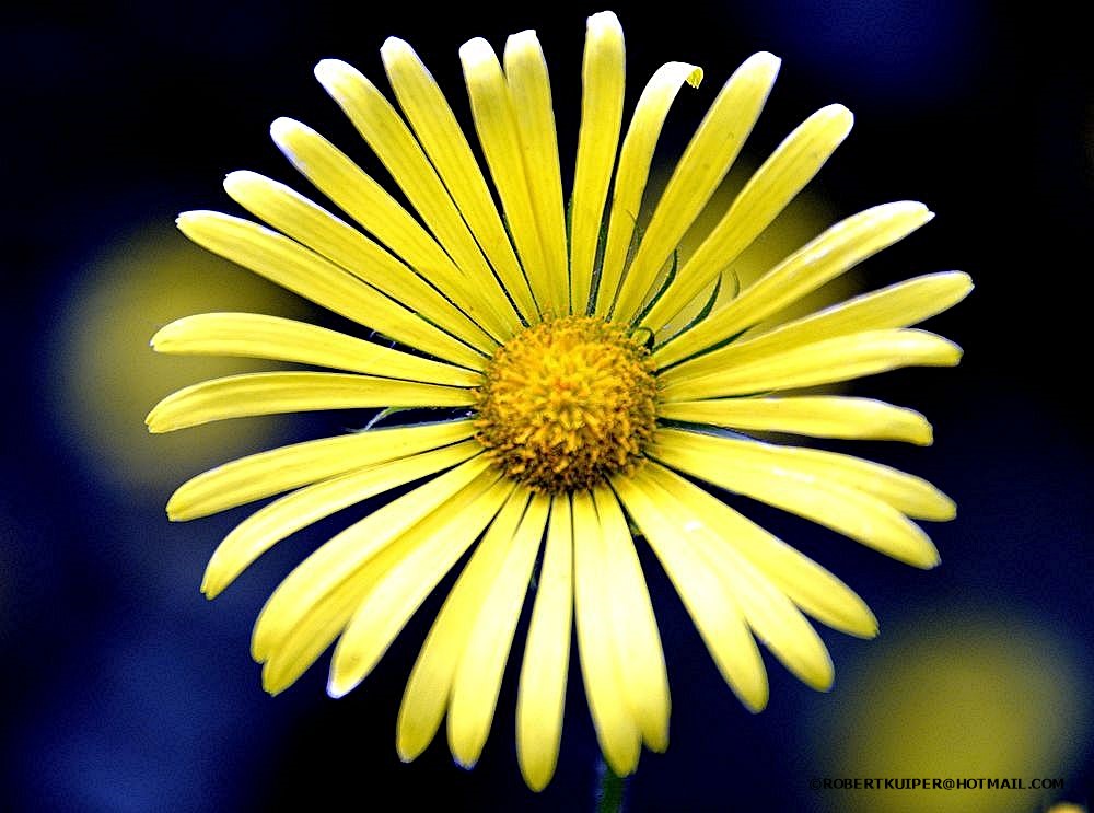 more-light-in-spring