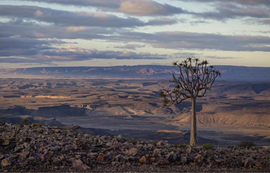 preview-karin-de-bruin-de-landschappen-van-namibie