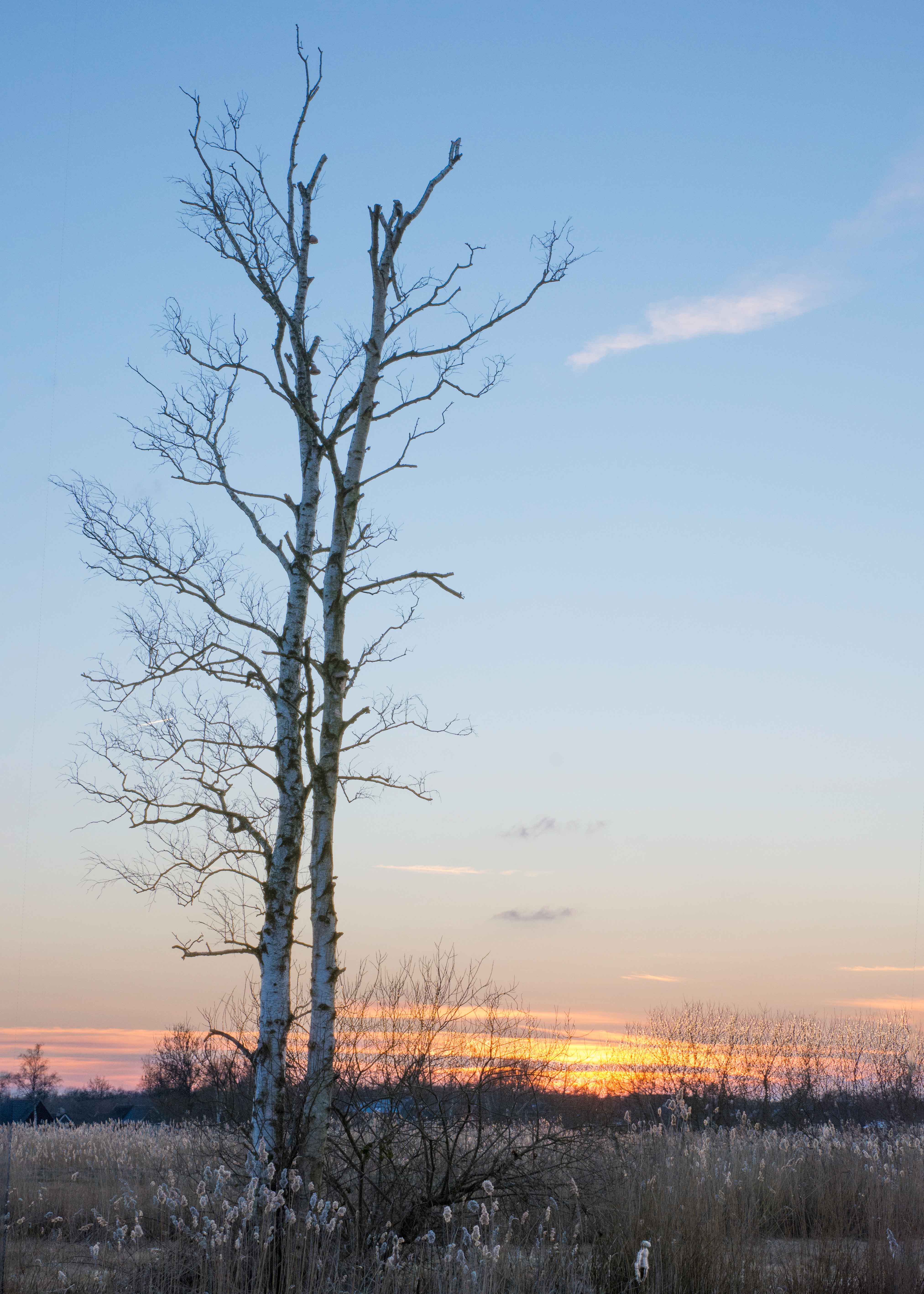 zonsondergang-in-de-weerribben