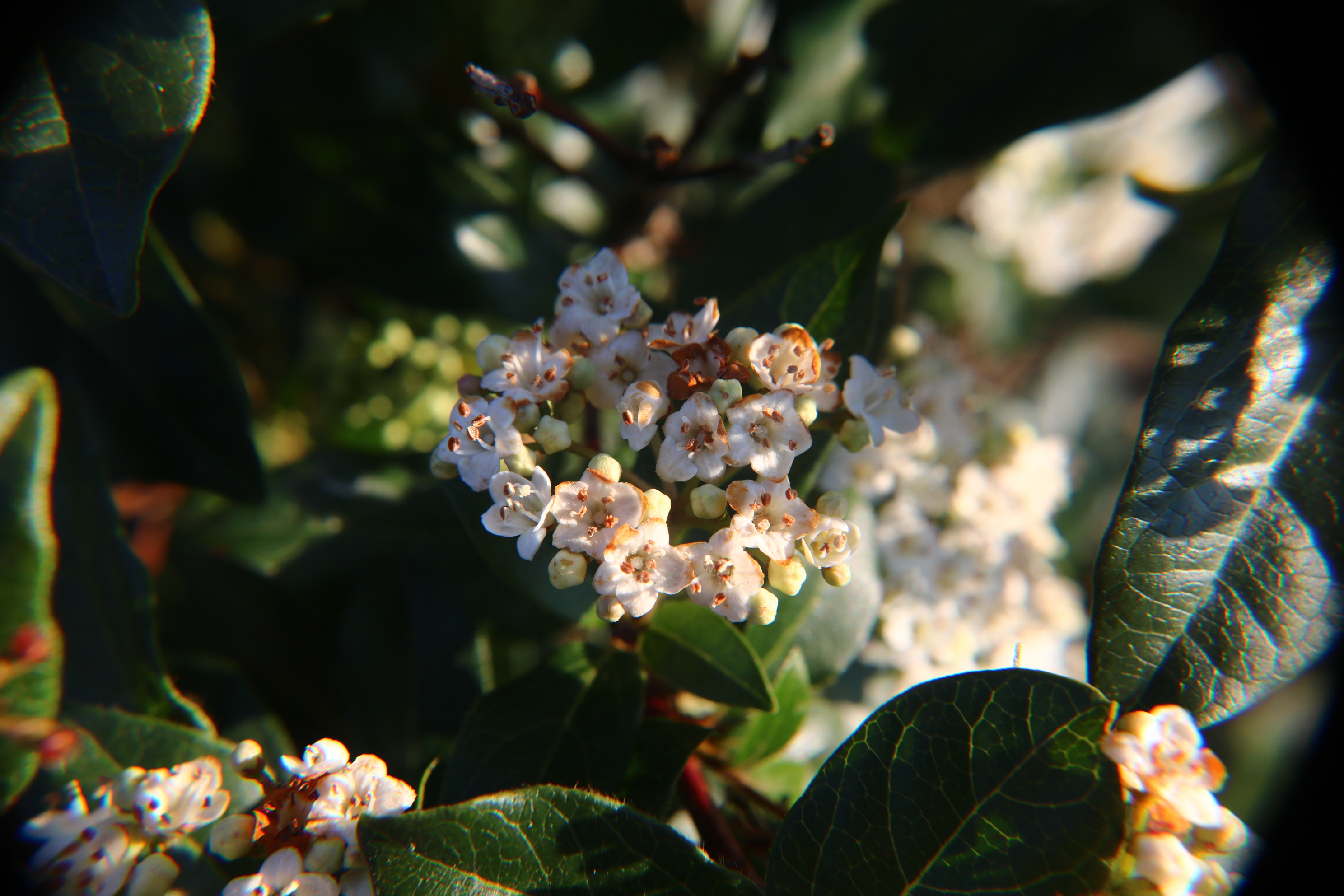 omarming-van-de-lente