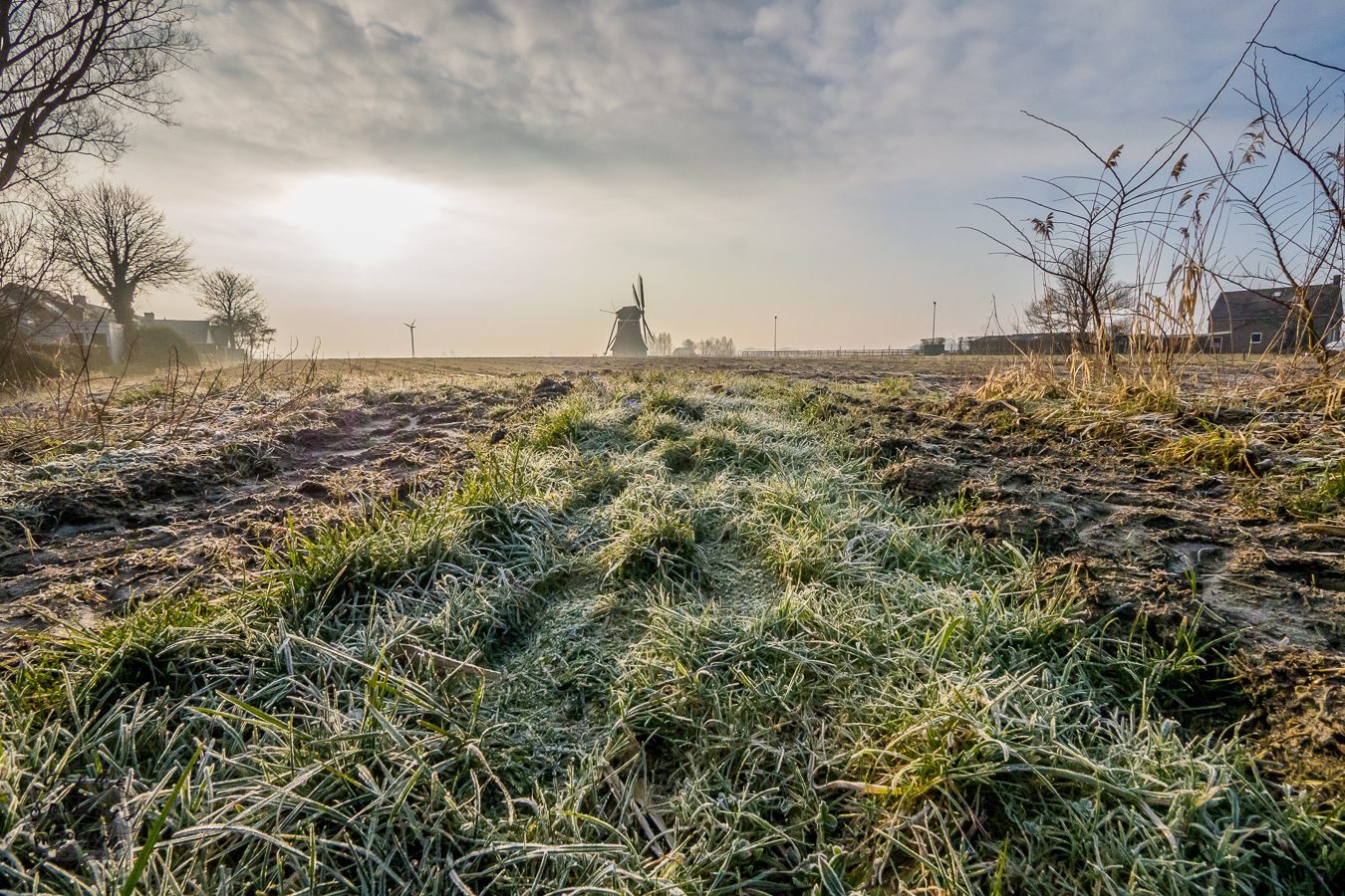 molen-in-marrum-ijzig-koude-ochtend