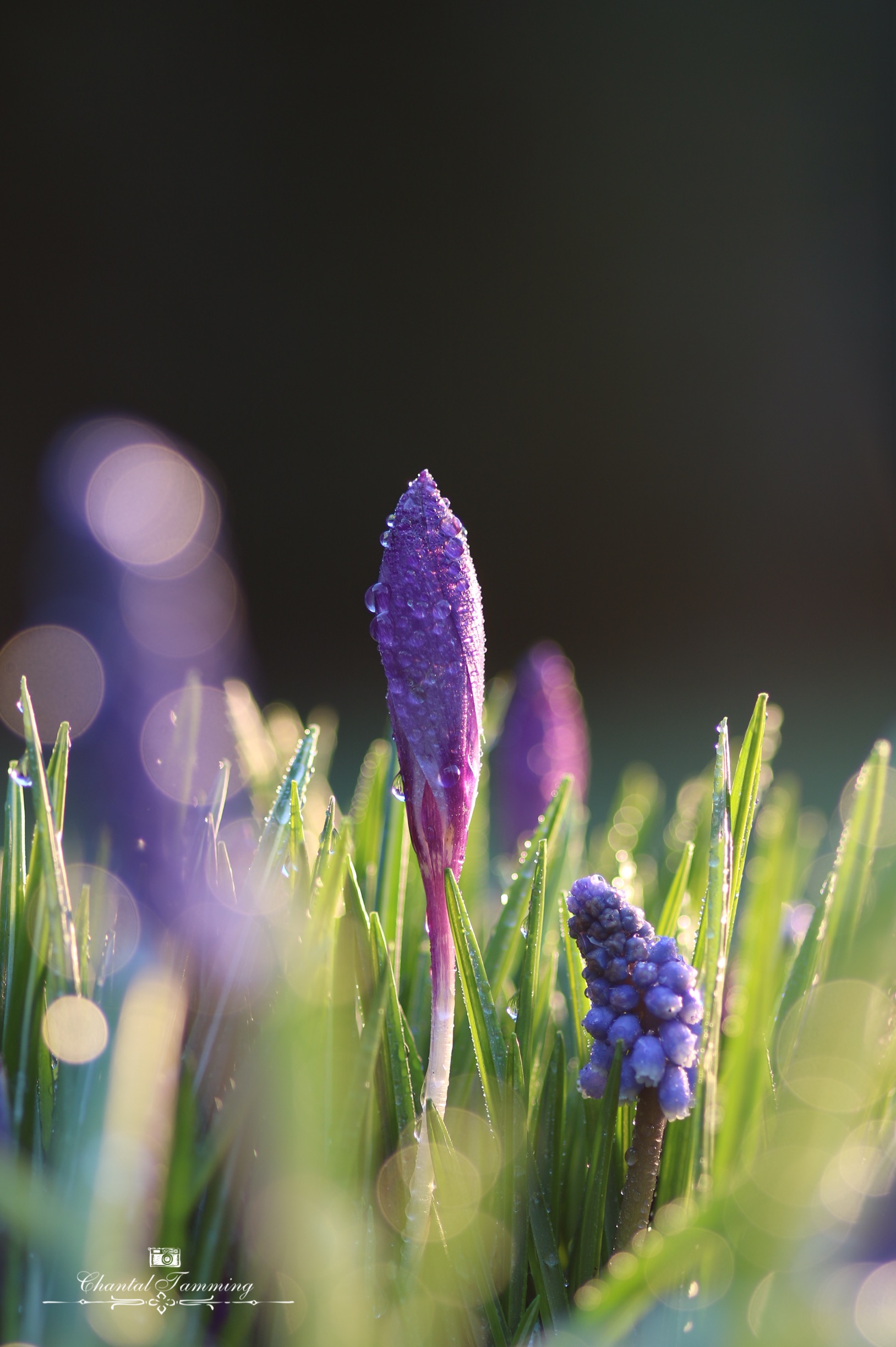 de-lente-komt-eraan-0