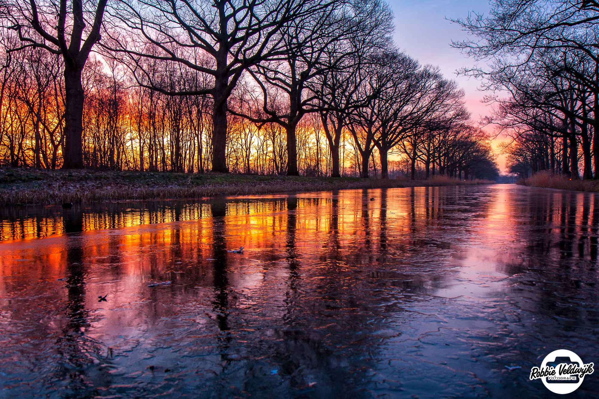bevroren-zonsopkomst