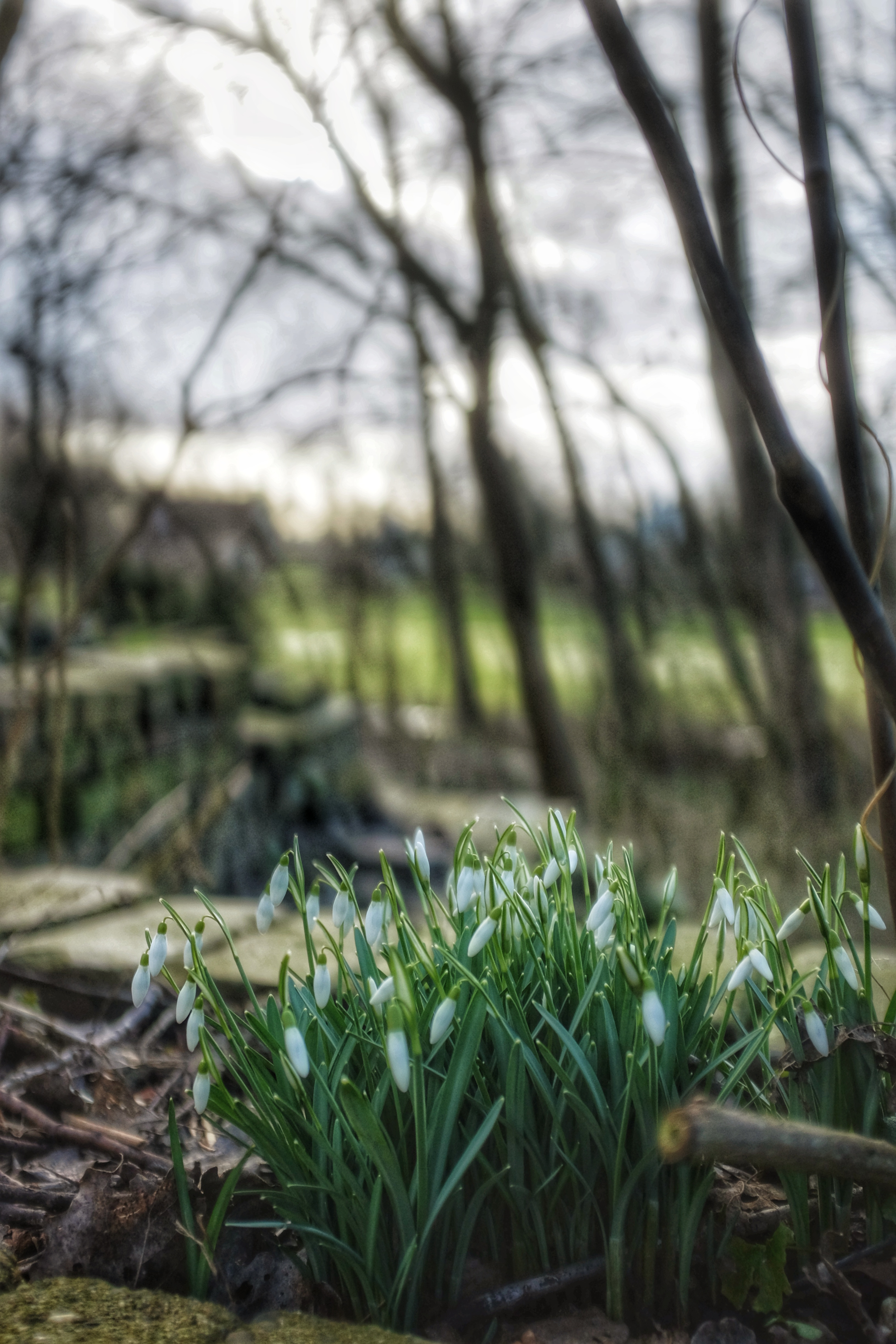 het-voorjaar-is-in-aantocht